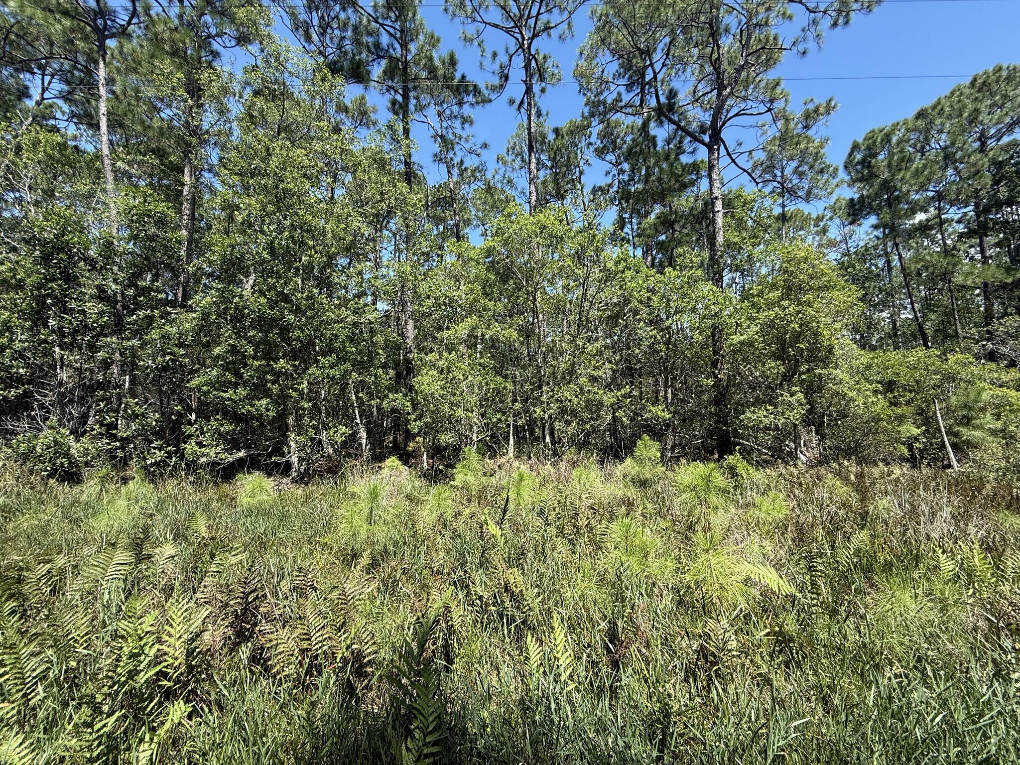 210 SE 2nd Street, Georgetown, FL 32139, Georgetown
