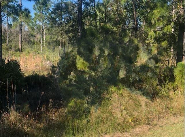 0 Kenansville, Okeechobee, FL 34739, Okeechobee