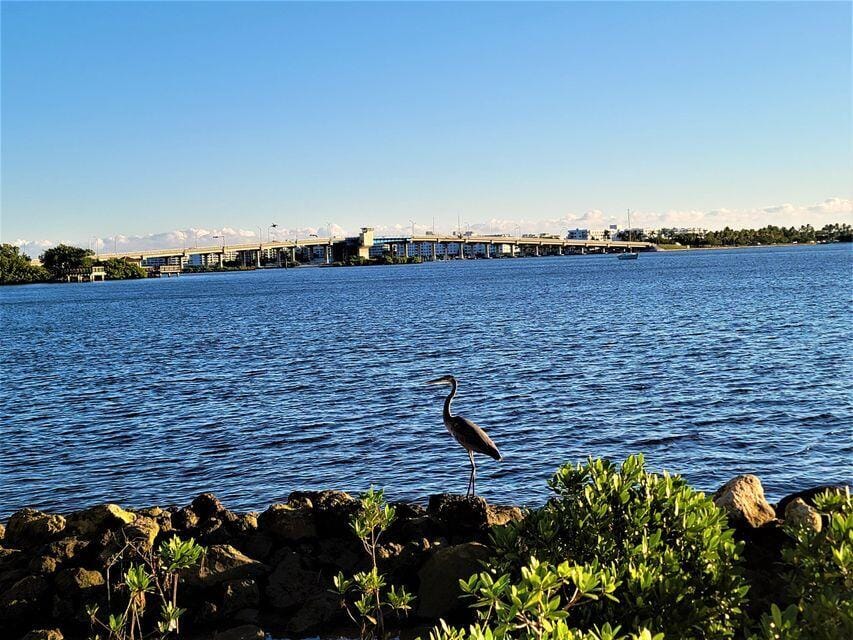 701 Washington Avenue, Lake Worth Beach, FL 33460 photo 28