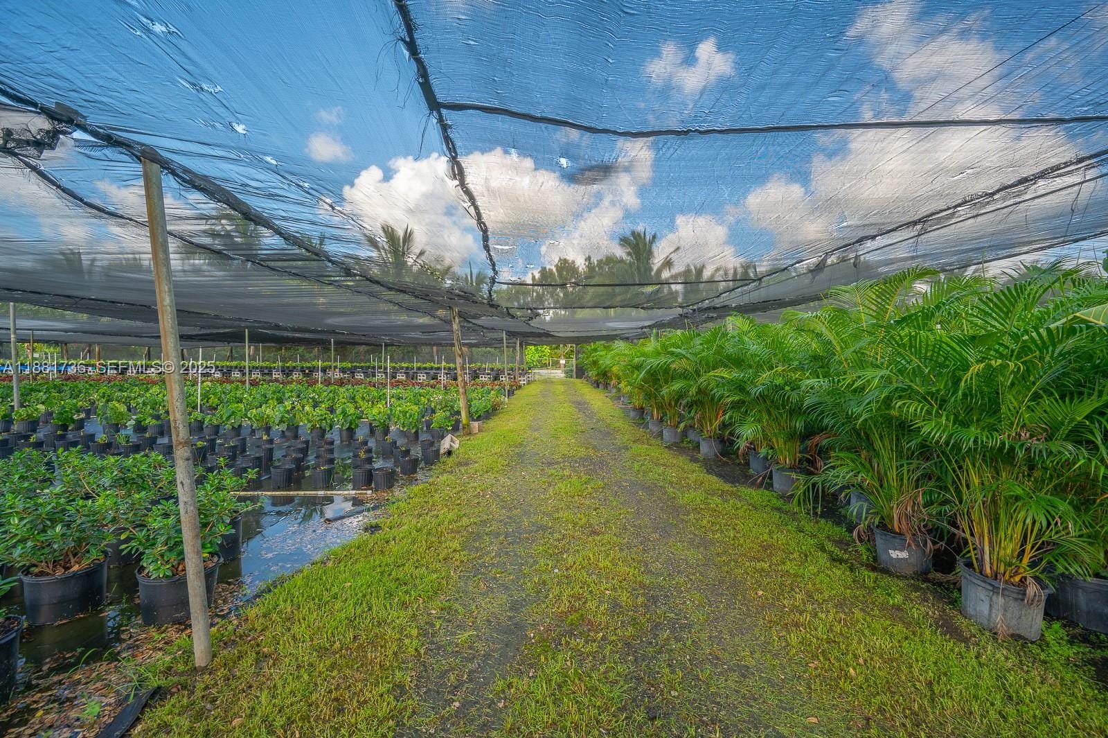20750 SW 256 Street, Homestead, FL 33031 photo 15