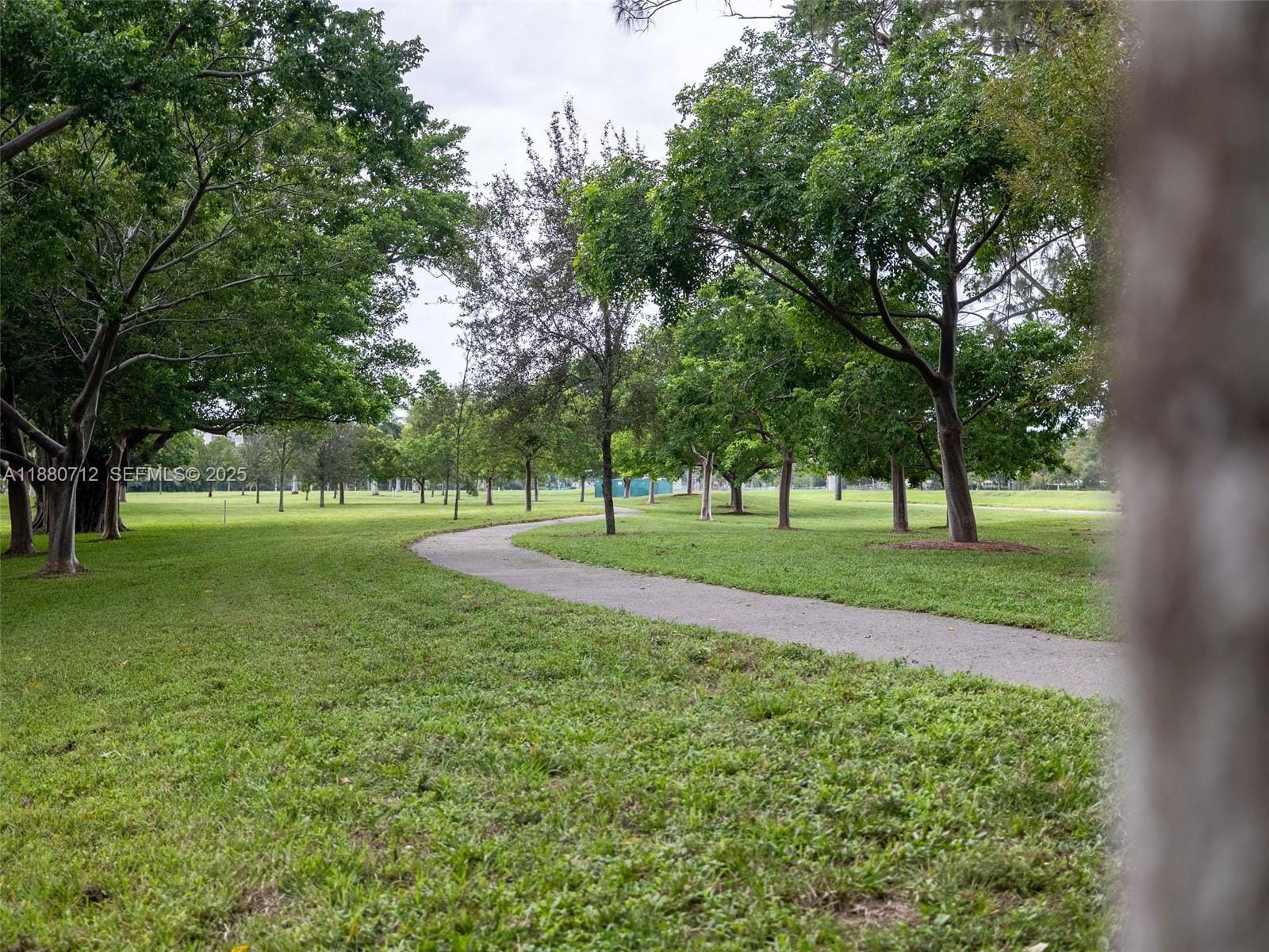 3201 N Course Lane 209, Pompano Beach, FL 33069 photo 26