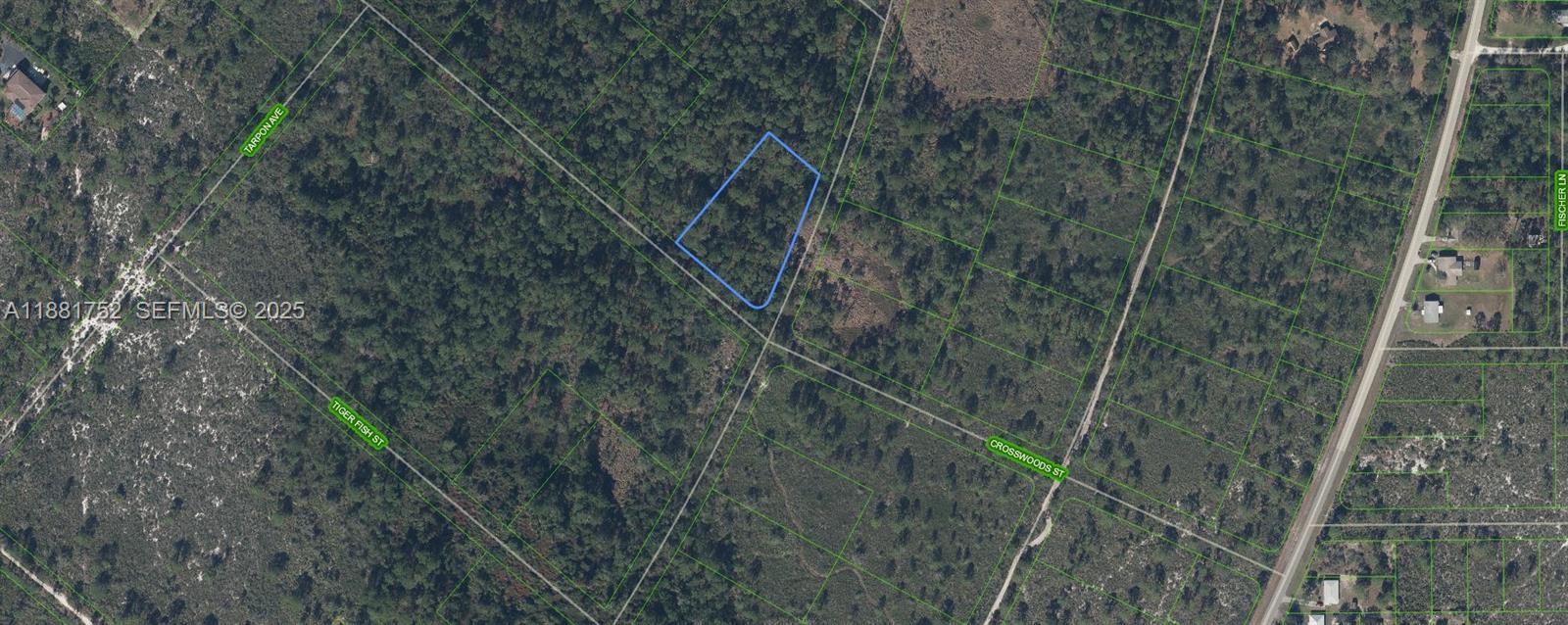 1266 Crosswoods, Lake Placid, FL 33852, Lake Placid