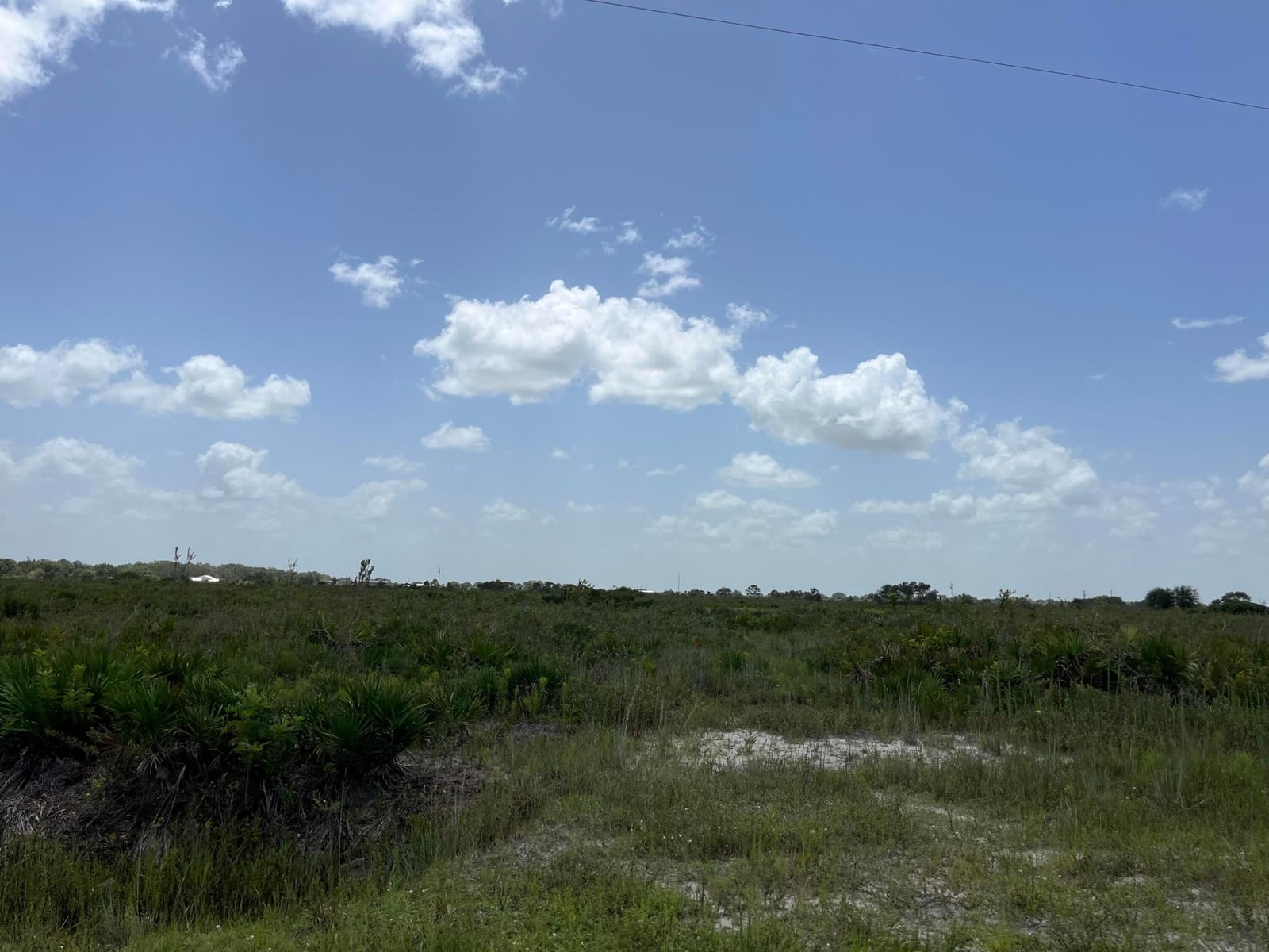 20106 NW 254th Street, Okeechobee, FL 34972 photo 3