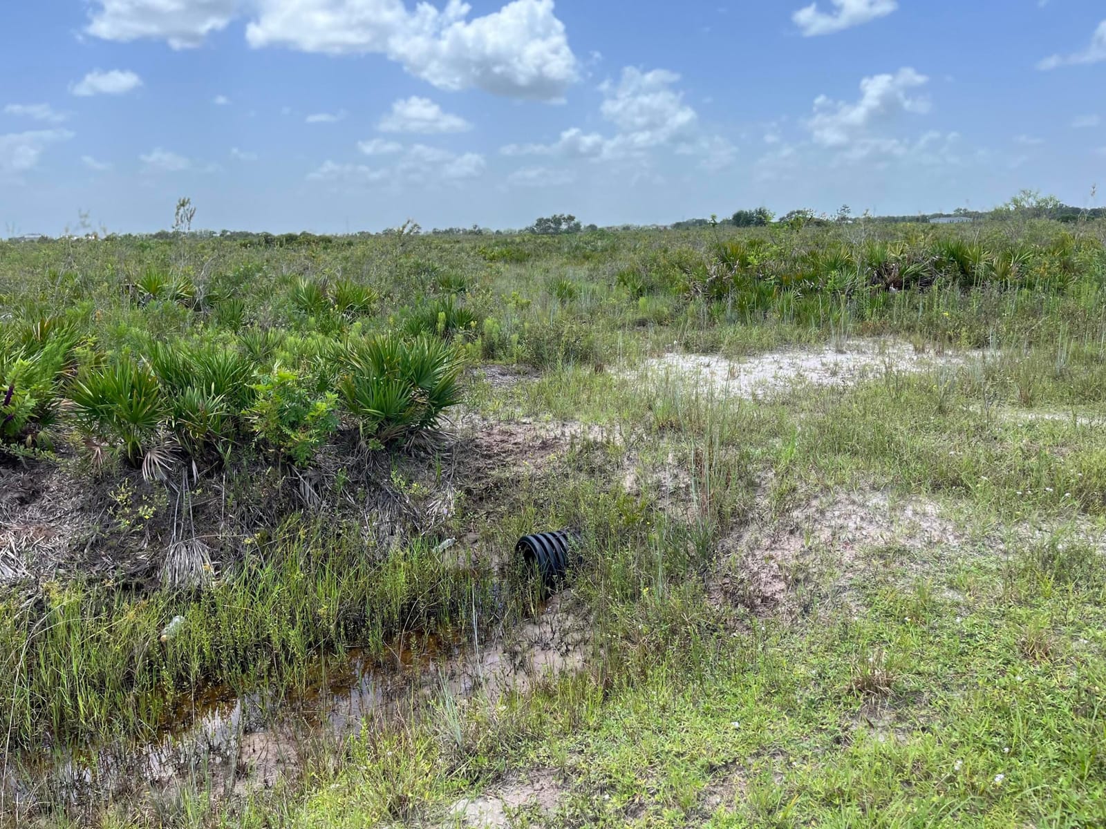 20106 NW 254th Street, Okeechobee, FL 34972 photo 9