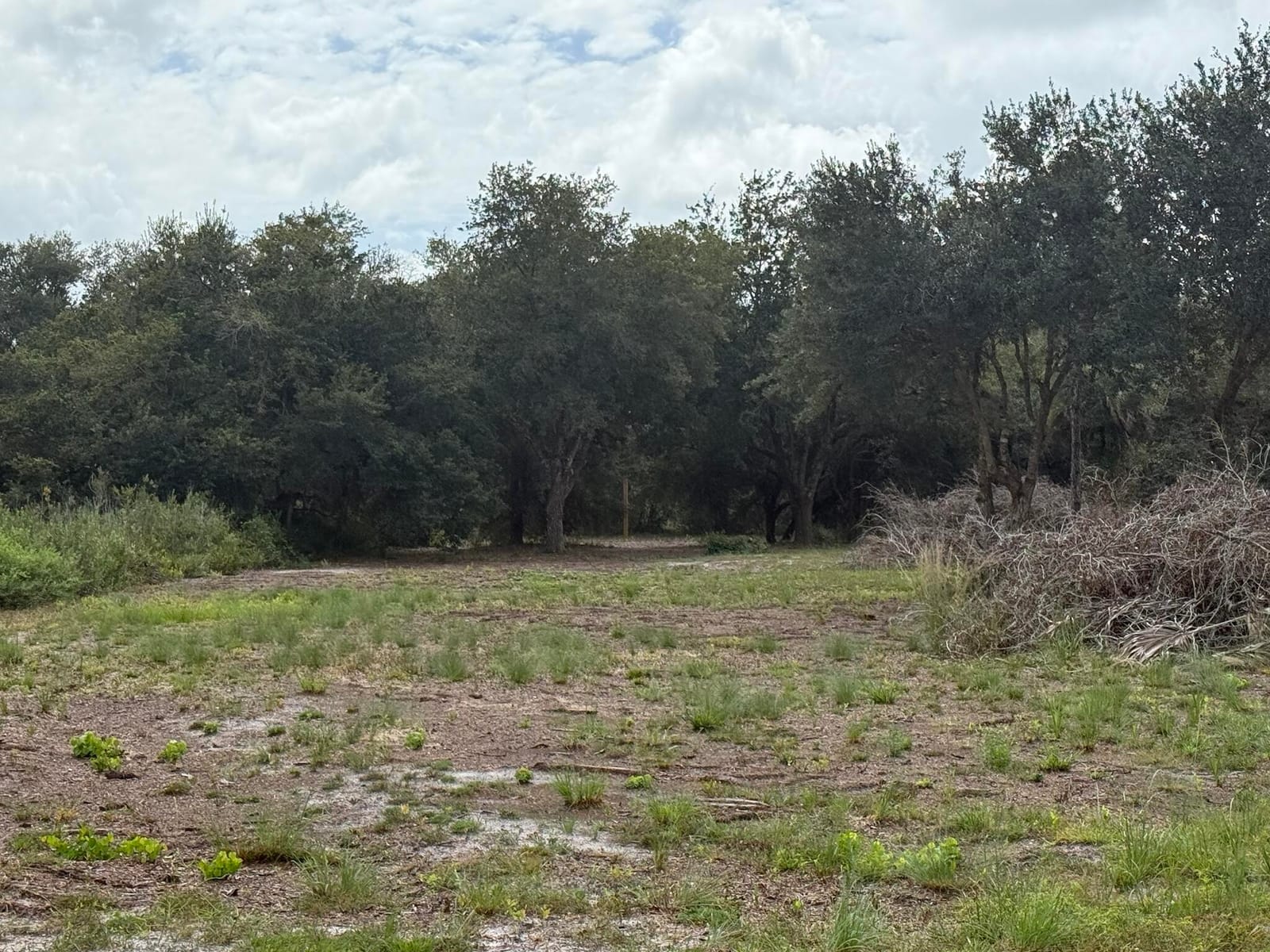 15134 NW 306th Street, Okeechobee, FL 34972 photo 15
