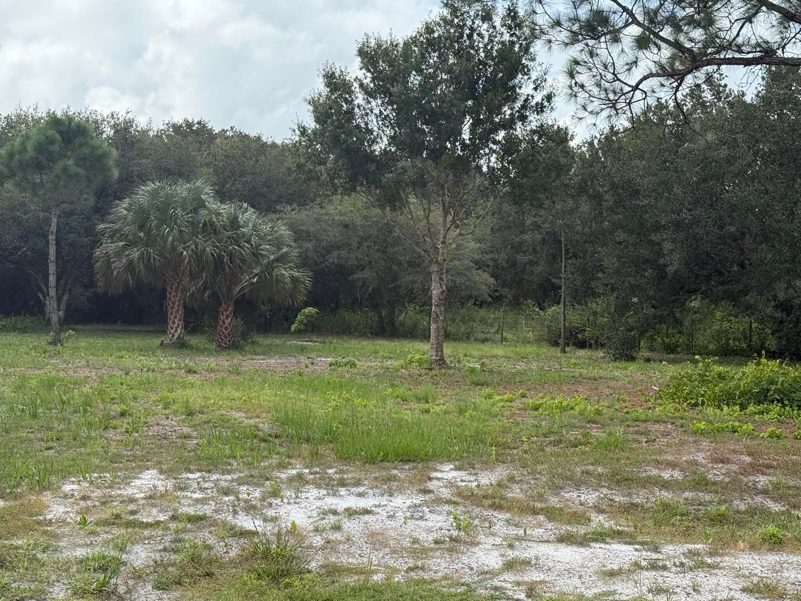 15134 NW 306th Street, Okeechobee, FL 34972 photo 16