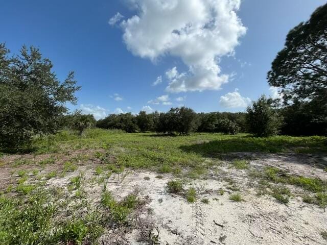 15134 NW 306th Street, Okeechobee, FL 34972 photo 6