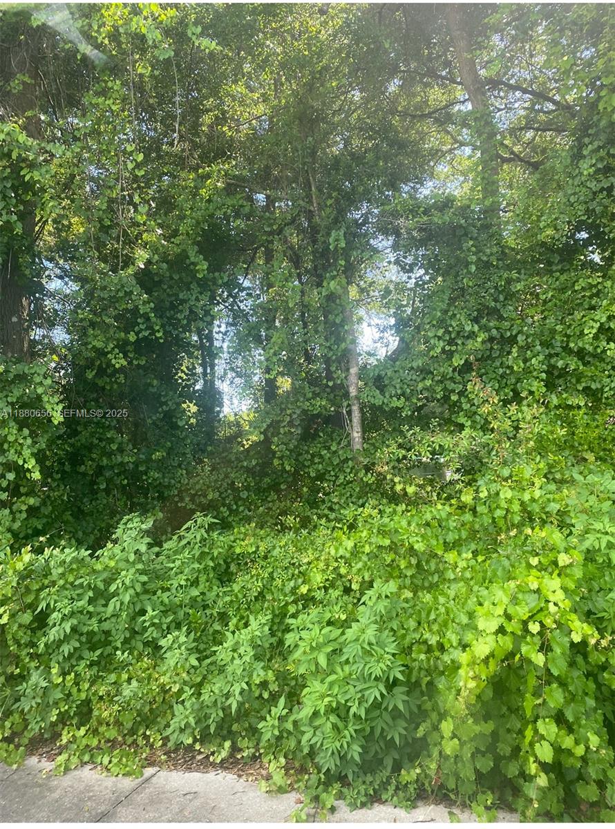 149 149, FL 34491, Summerfield