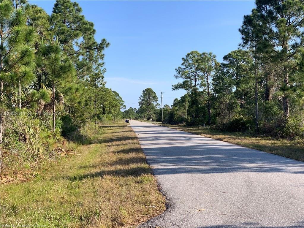 105 Citation Street, Lake Placid, FL 33852 photo 4