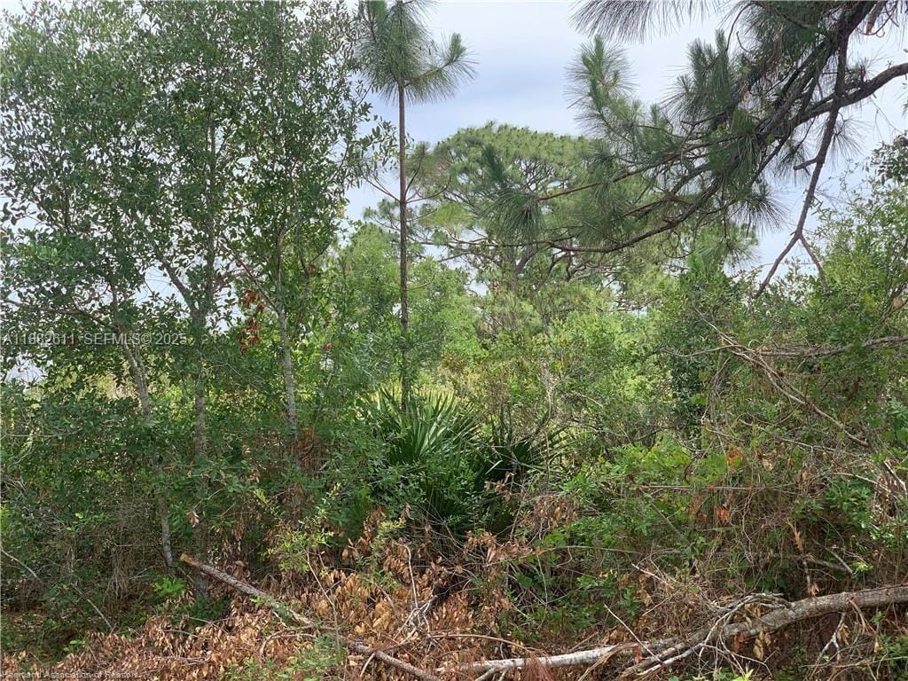 105 Citation Street, Lake Placid, FL 33852 photo 6