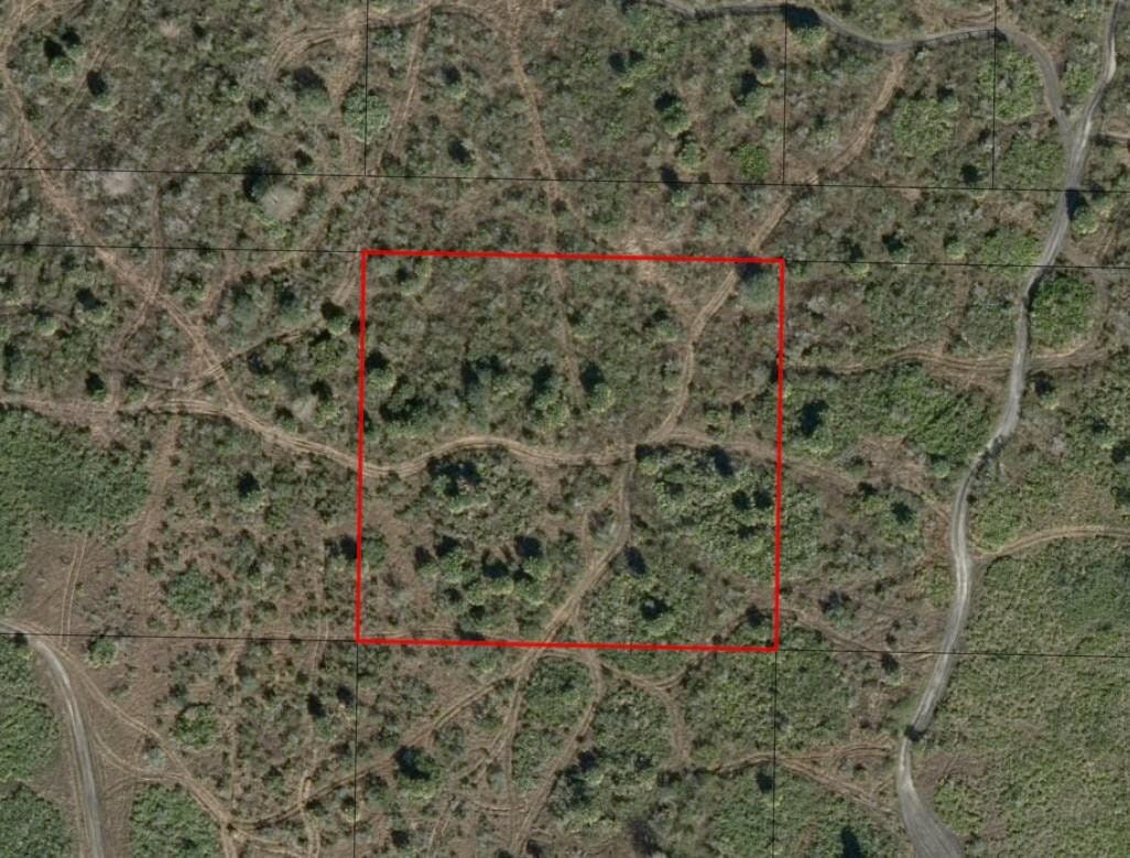 0 NW 312th Street, Okeechobee, FL 34972 photo 2