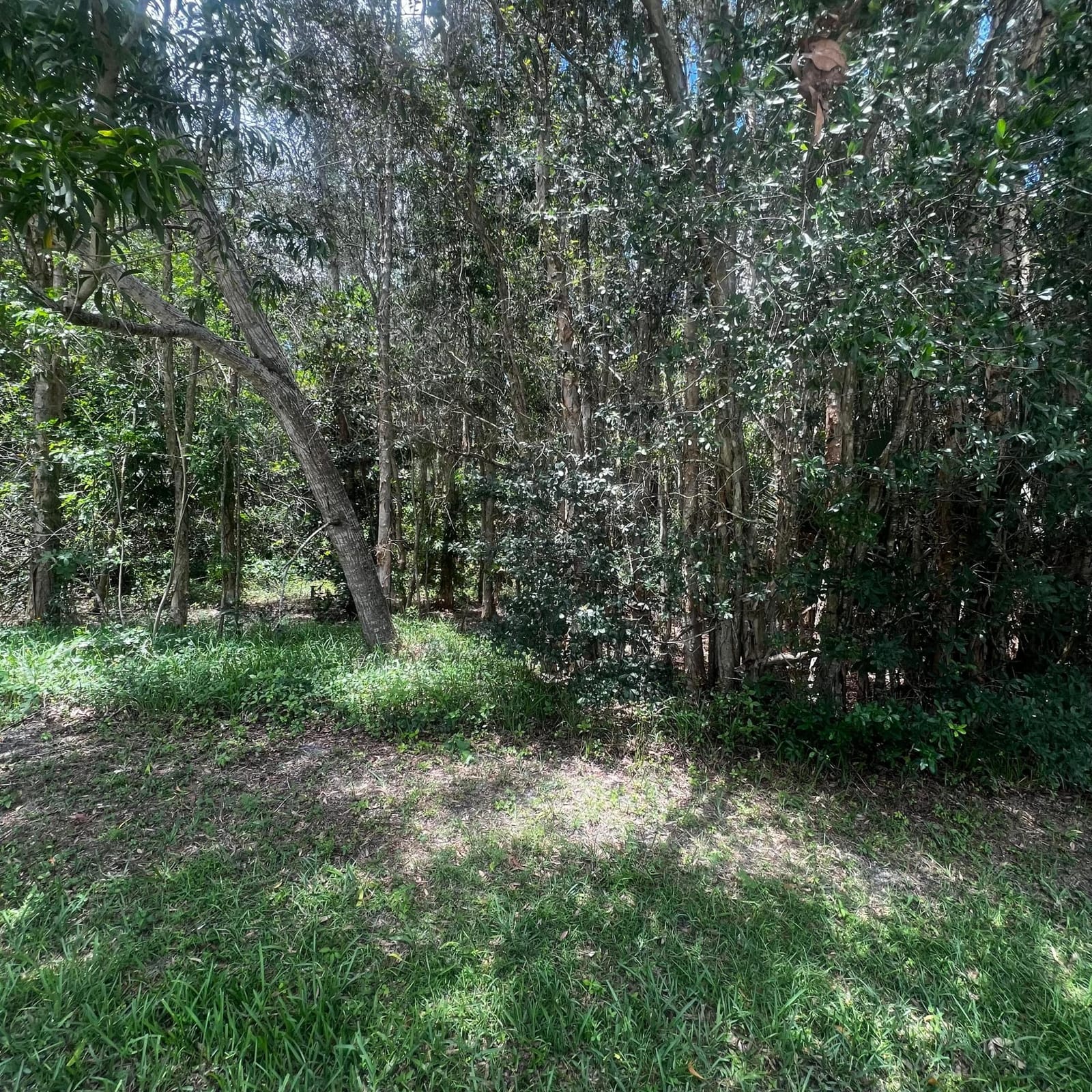 13843 72nd Court N — photo 3