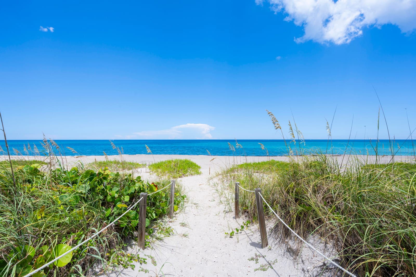 2760 S Ocean Boulevard 213, Palm Beach, FL 33480 photo 18
