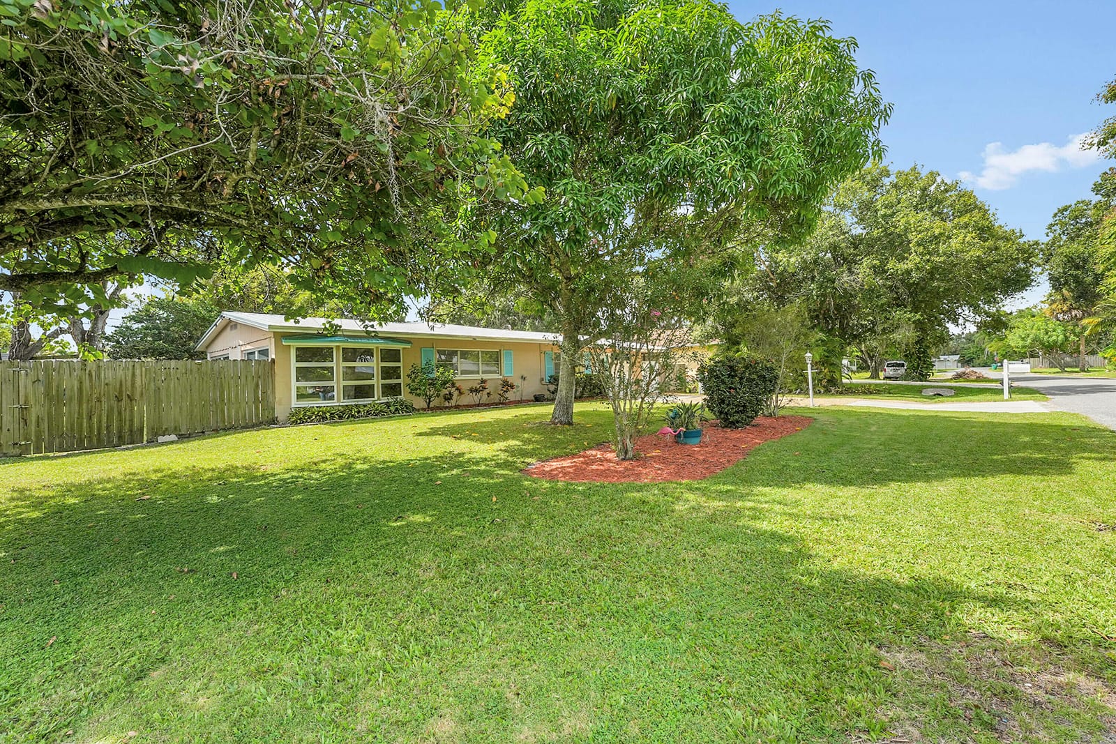 803 Anita Street — photo 3
