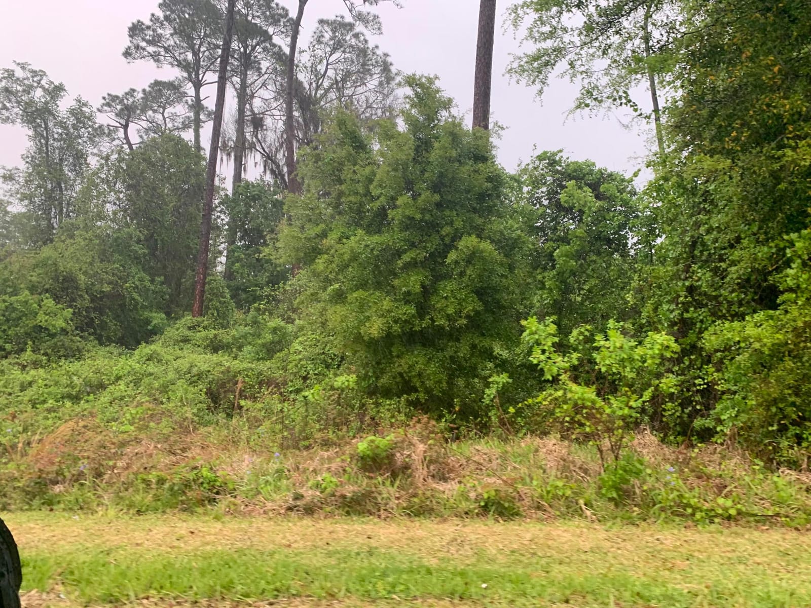 0 SE Unassigned Location Re Avenue — photo 2