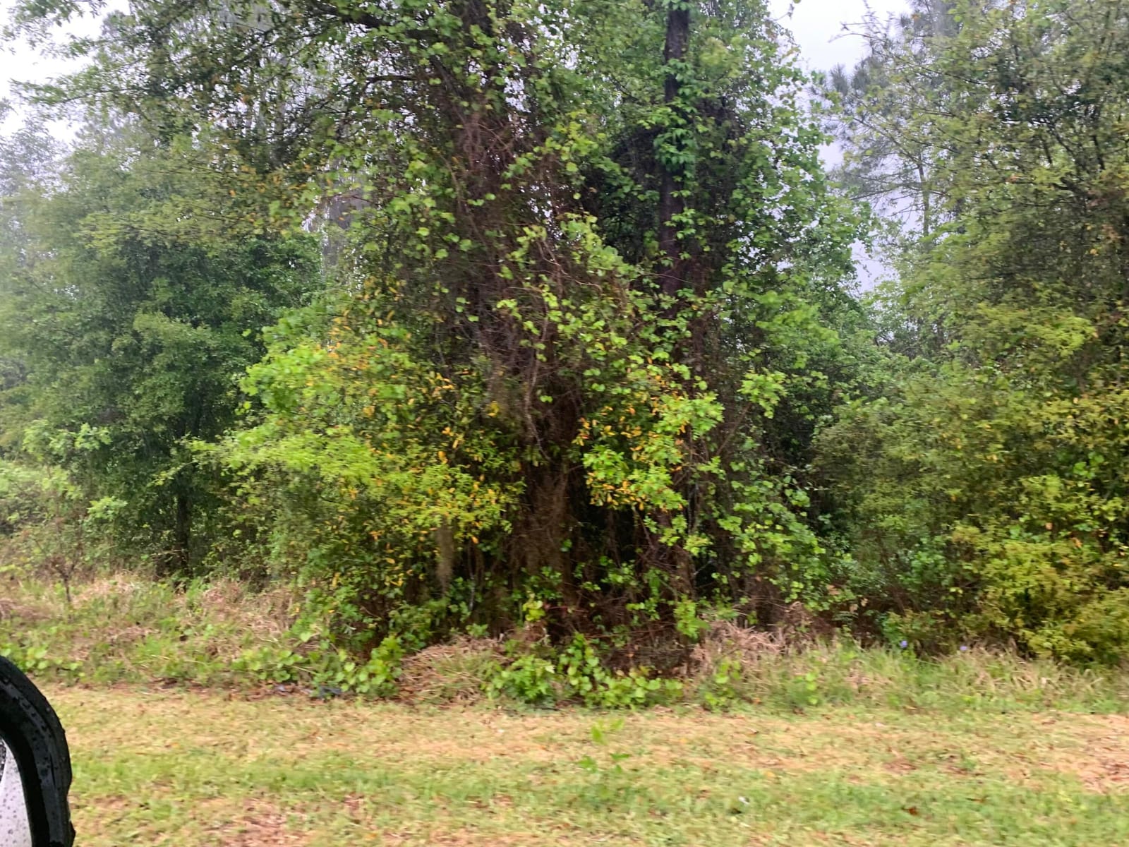 0 SE Unassigned Location Re Avenue — photo 3