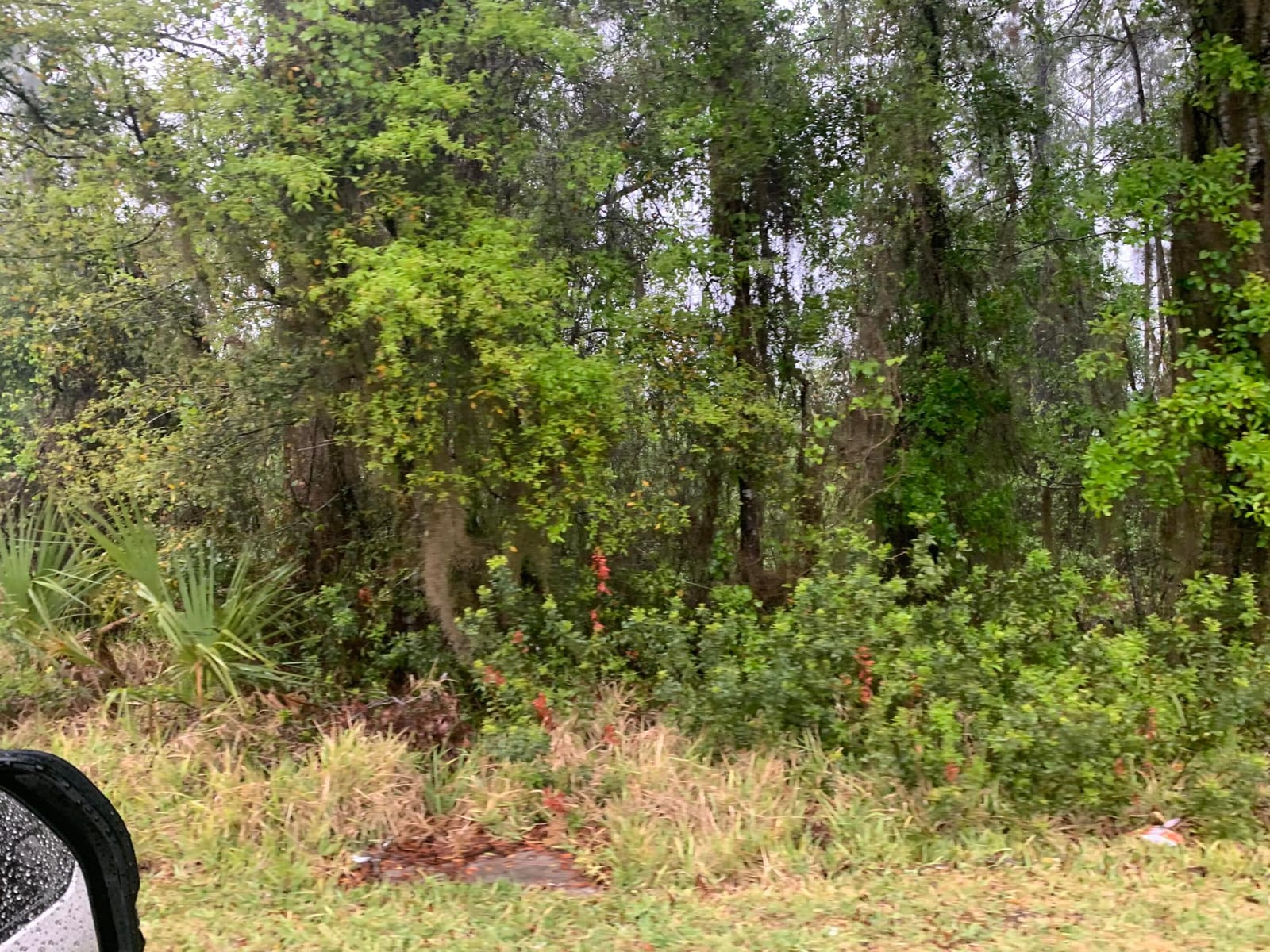 0 SE Unassigned Location Re Avenue — photo 4