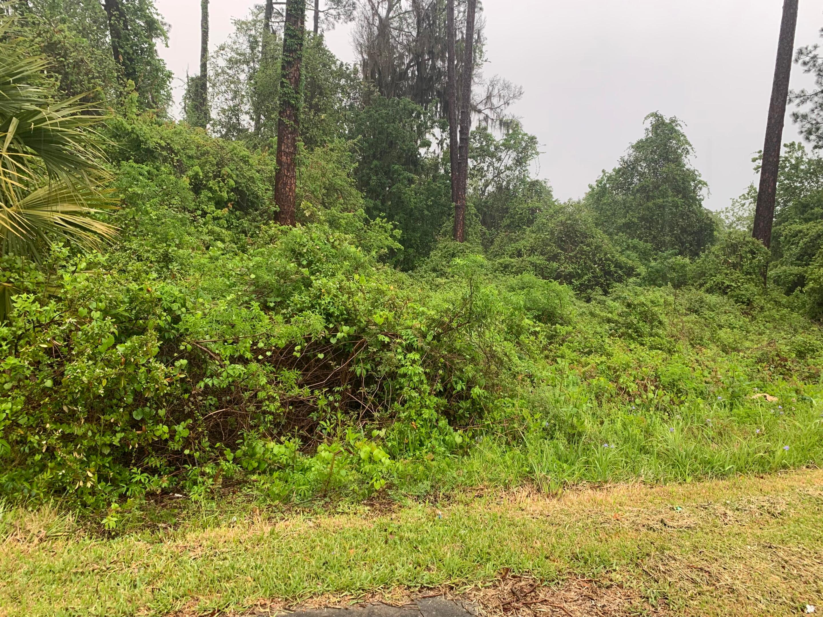 0 SE Unassigned Location Re Avenue, Gainesville, FL 32641, Gainesville