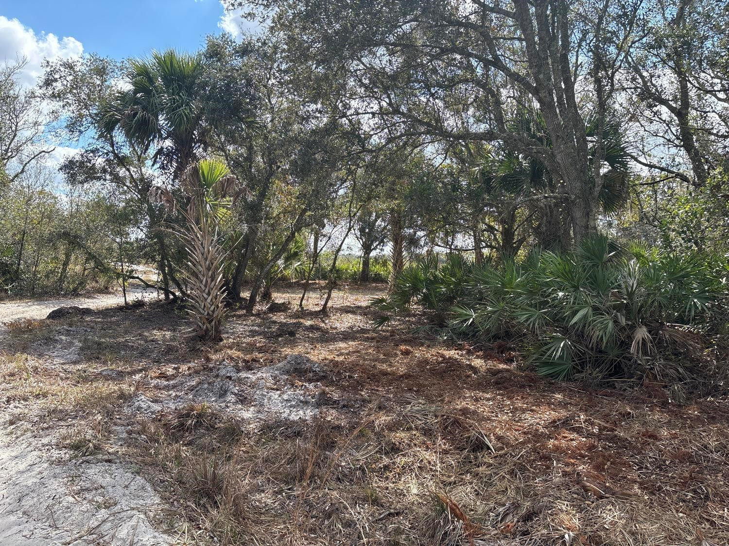 0 NW 300th Street, Okeechobee, FL 34972, Okeechobee