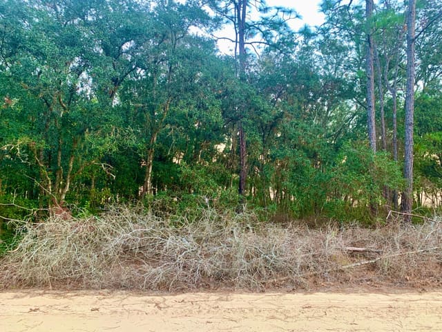 301 S Crestview Avenue, Inverness, FL 34452