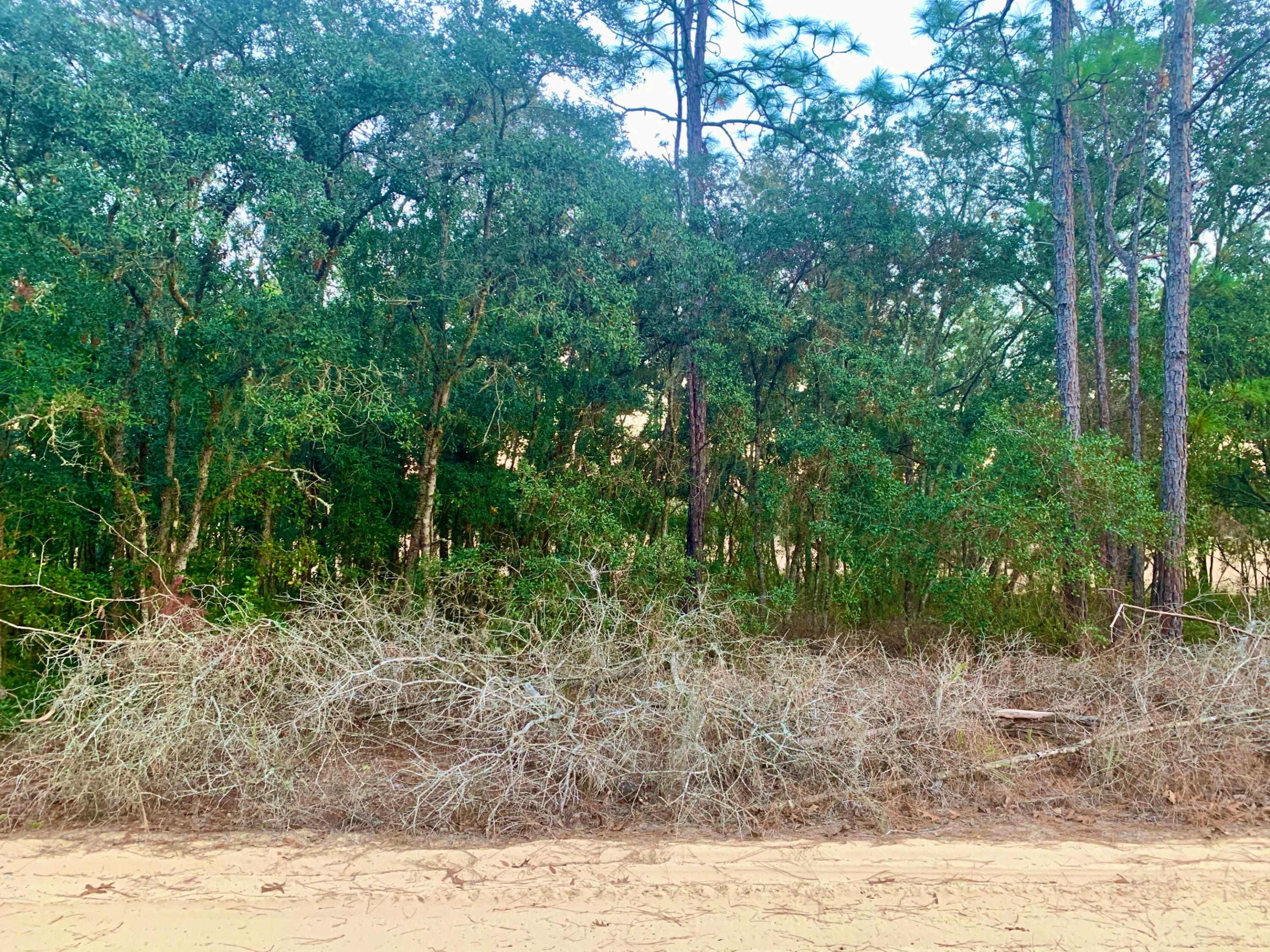 301 S Crestview Avenue, Inverness, FL 34452, Inverness