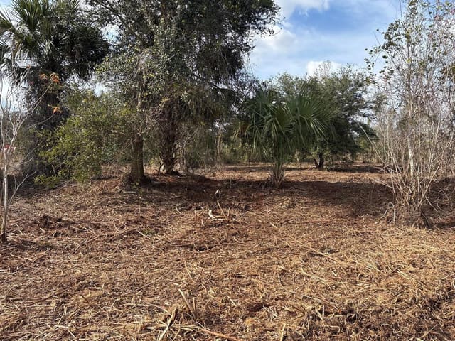 0 NW 296th Street, Okeechobee, FL 34972