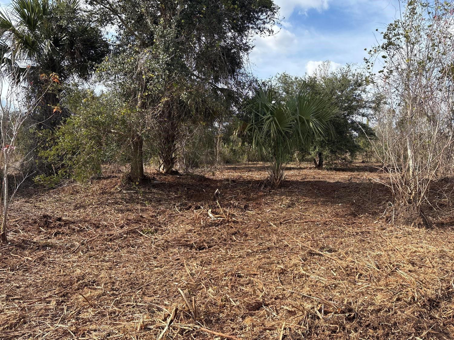 0 NW 296th Street, Okeechobee, FL 34972, Okeechobee
