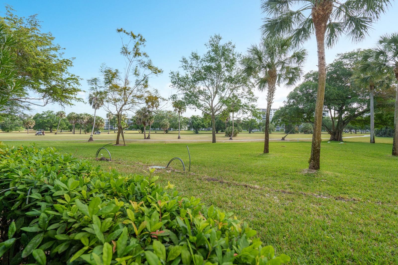 3800 Oaks Clubhouse Drive 110 — photo 5