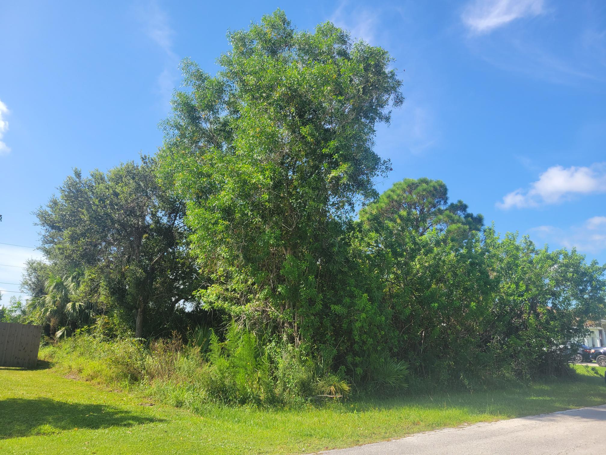 474 SW Kaabe Avenue, Port St. Lucie, FL 34953, Port St Lucie