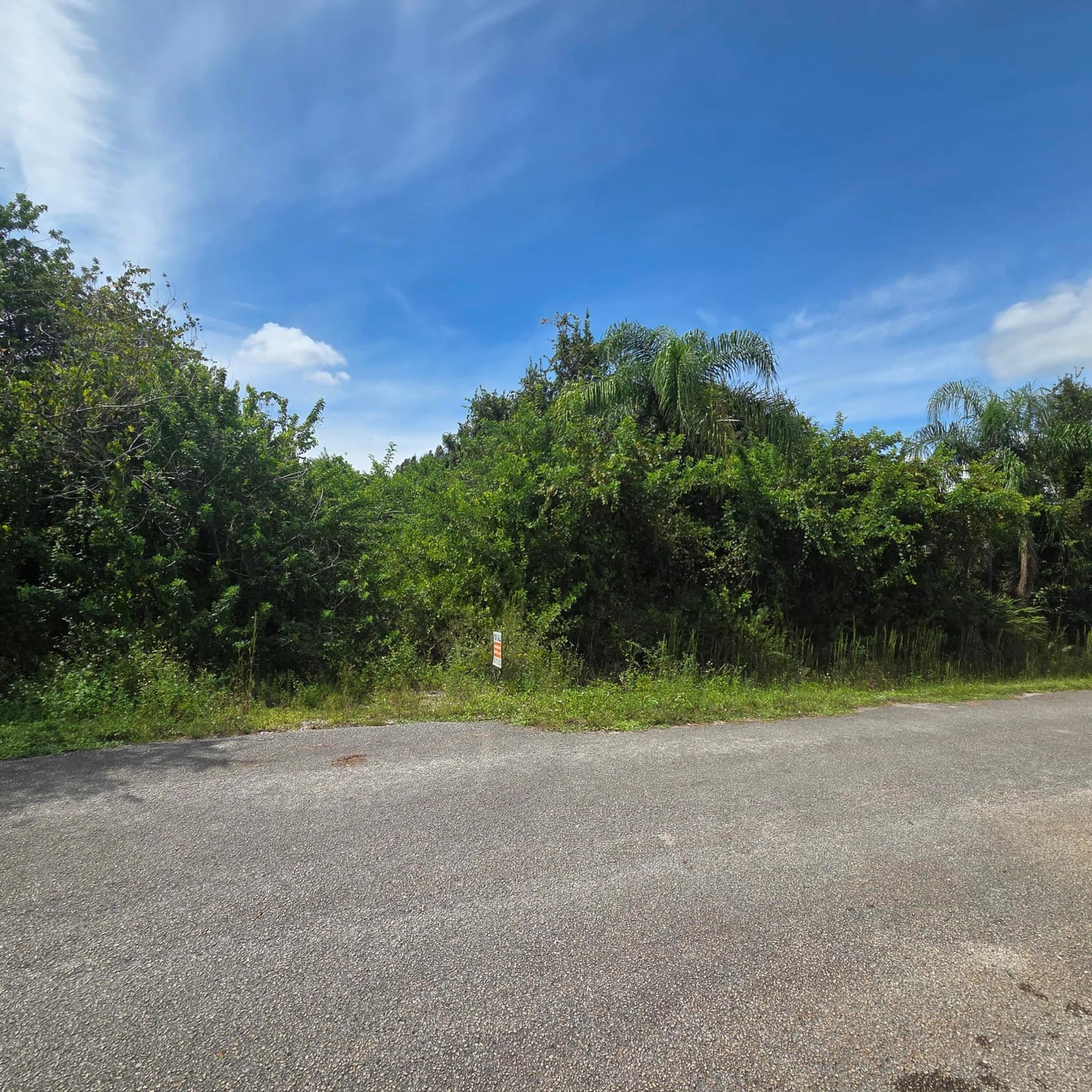 3819 NW 21st Avenue, Okeechobee, FL 34972 photo 2