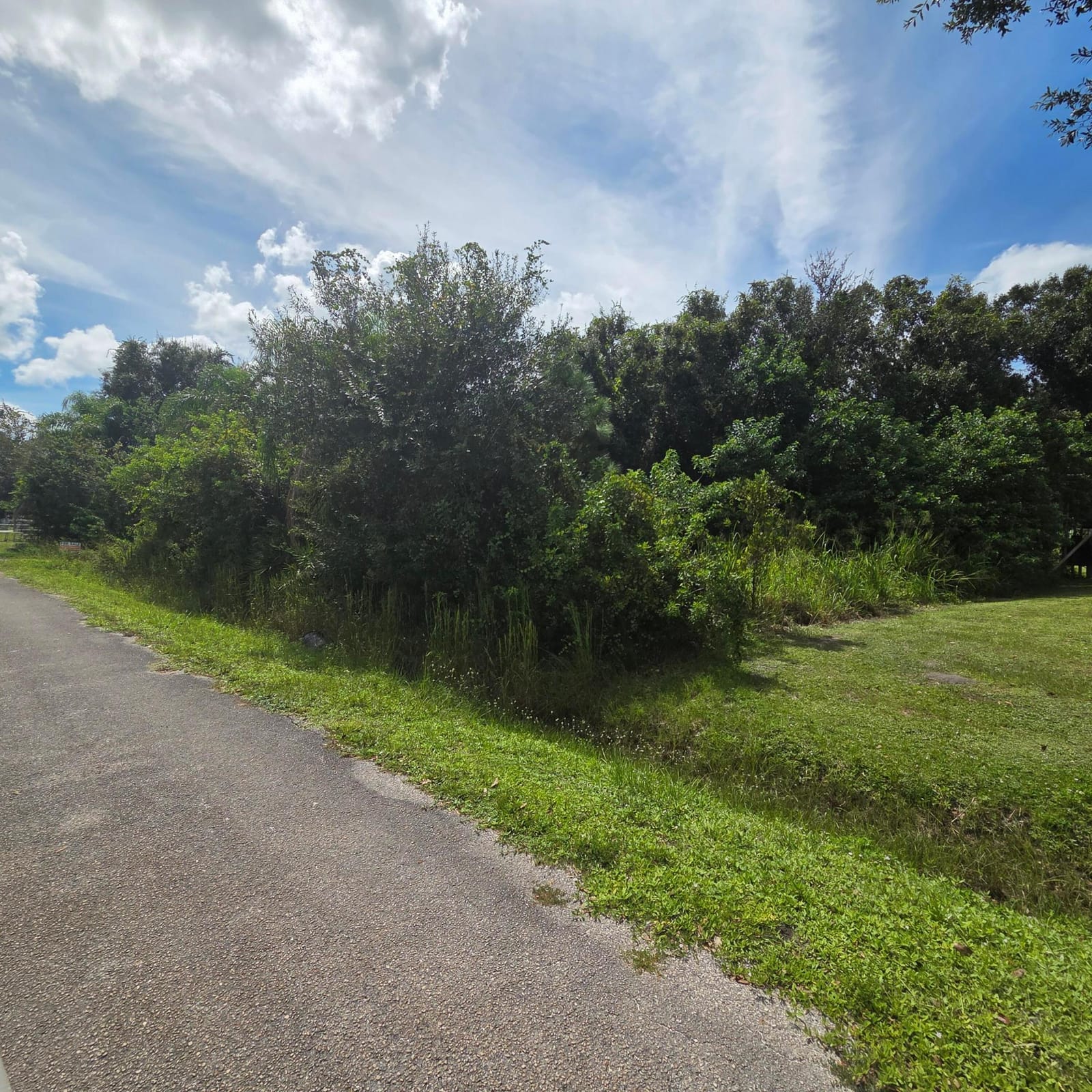 3819 NW 21st Avenue, Okeechobee, FL 34972 photo 3
