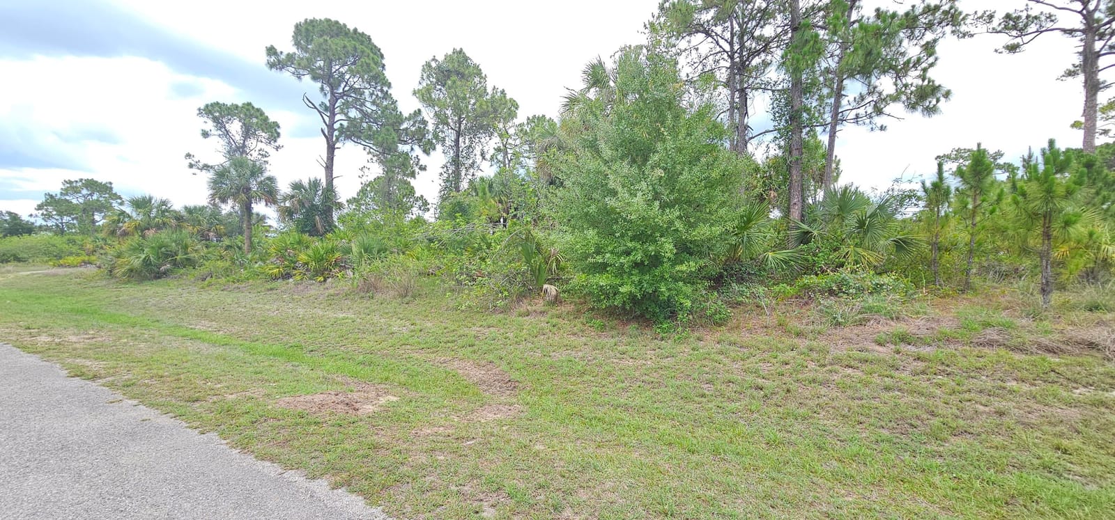 6204 Hob Court — photo 3