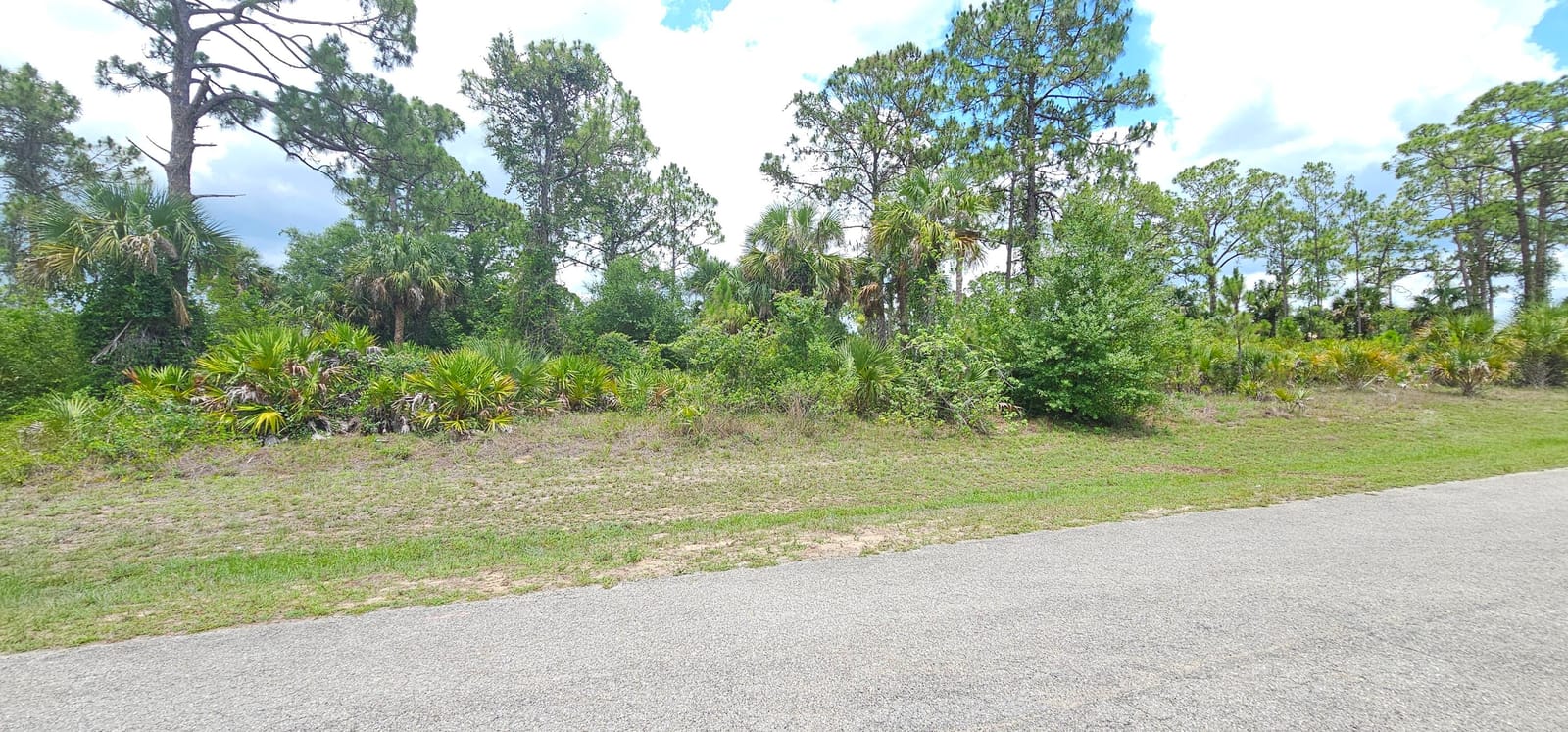 6204 Hob Court — photo 4