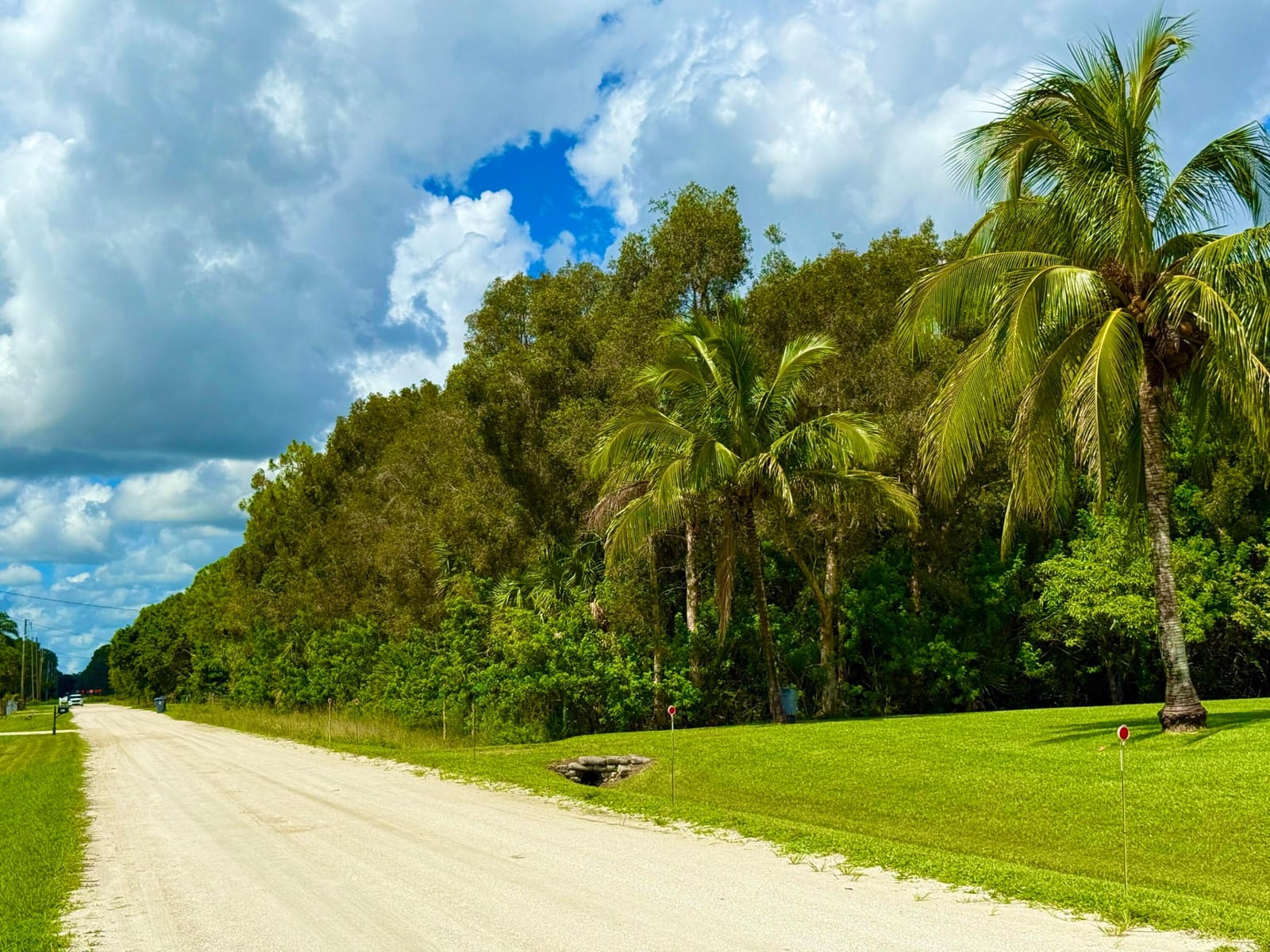 15137 74th, The Acreage, FL 33470 photo 28