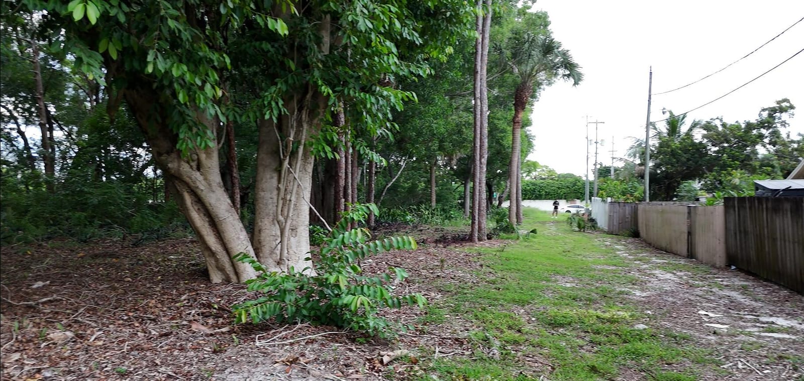 0000 Lantana Road — photo 3