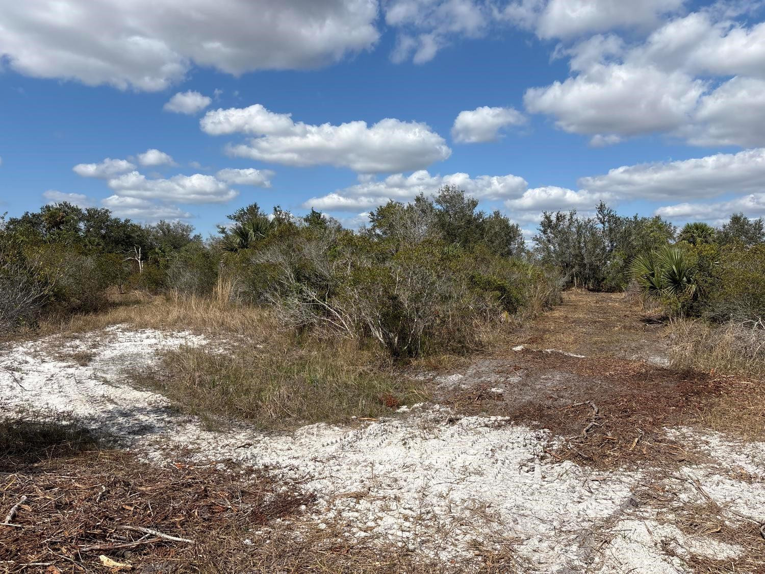 0 NW 298th Street, Okeechobee, FL 34972, Okeechobee