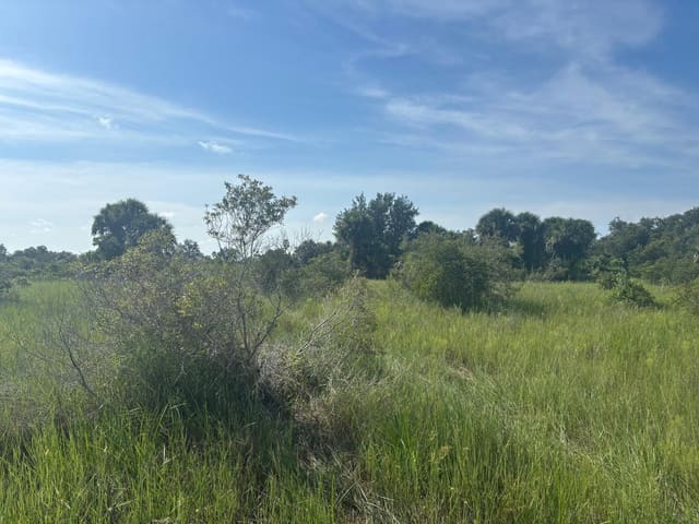 0 NW 308th Street, Okeechobee, FL 34972
