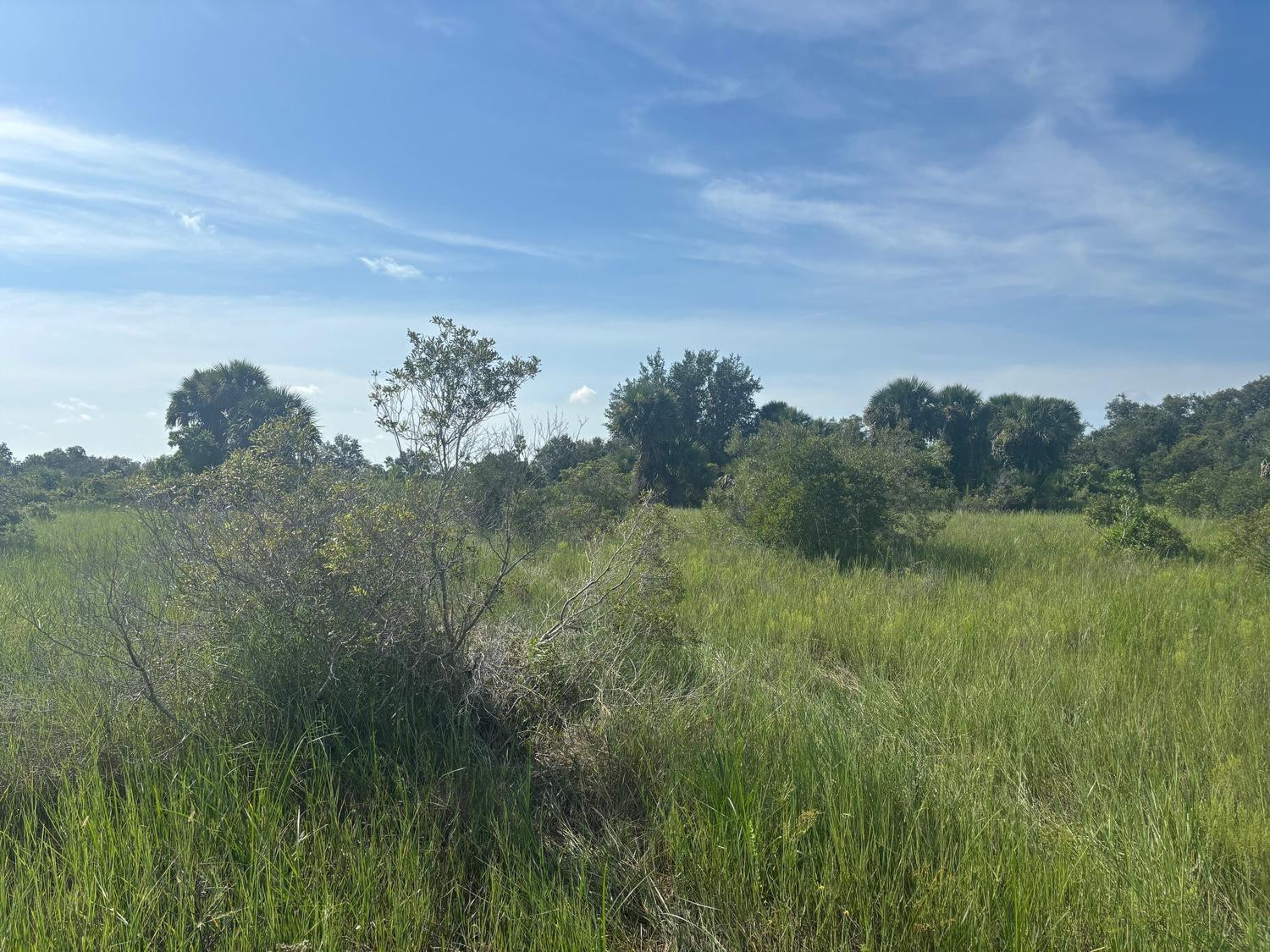 0 NW 308th Street, Okeechobee, FL 34972, Okeechobee