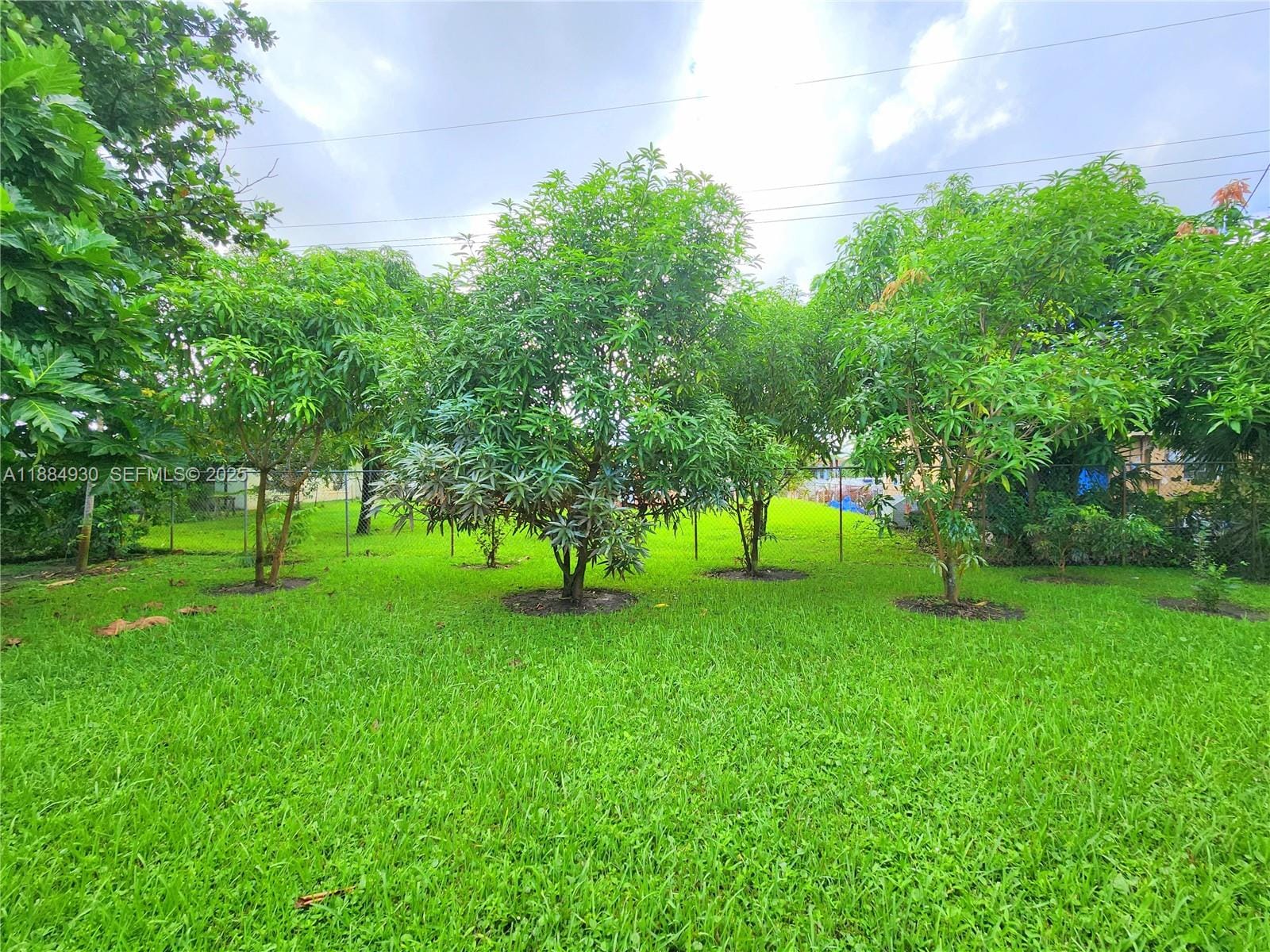3640 NW 4th Street, Lauderhill, FL 33311 photo 26