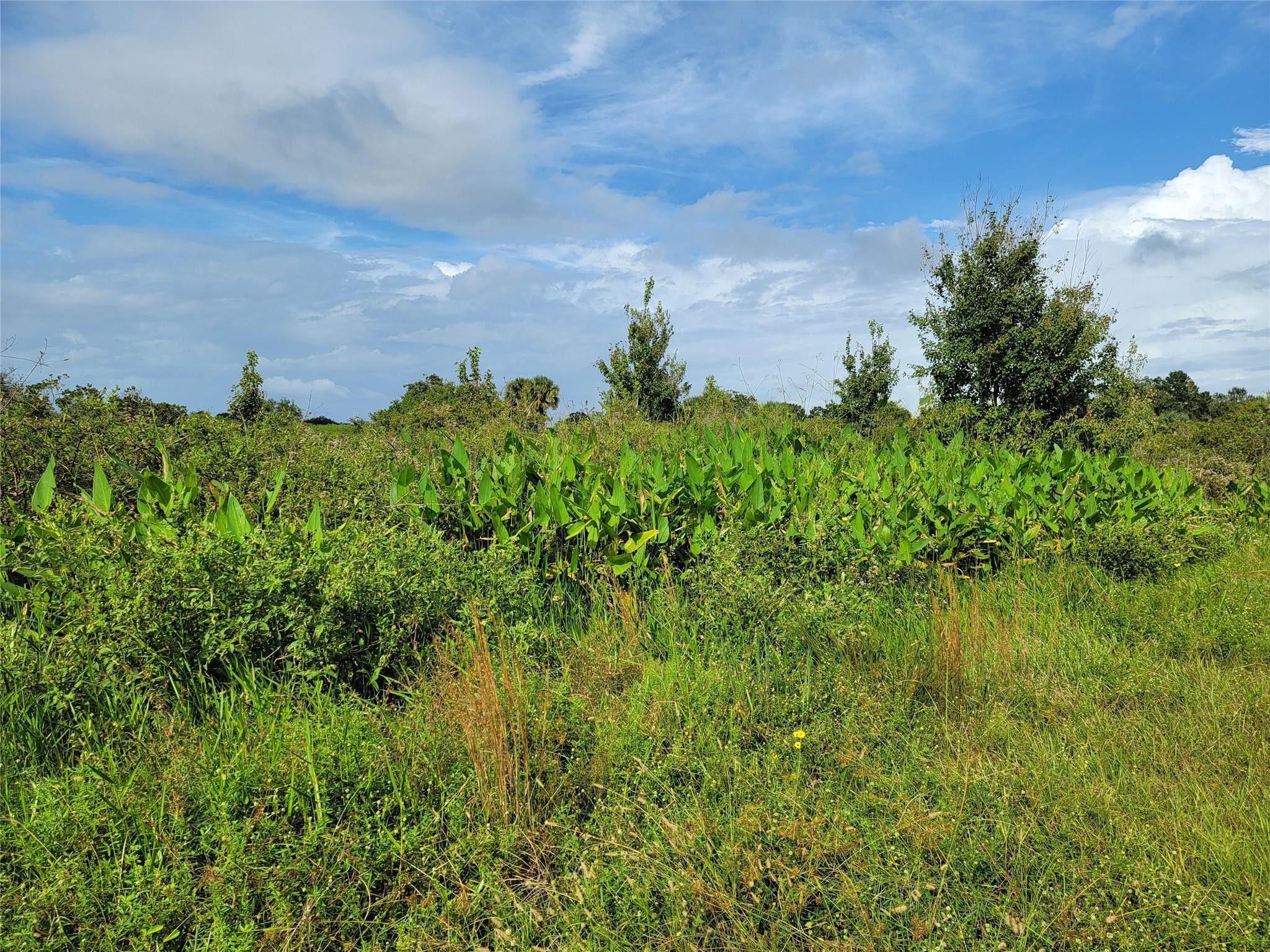17275 NW 260th Street, Okeechobee, FL 34972, Okeechobee