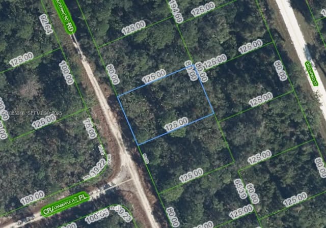 1131 Butternut Road, Lake Placid, FL 33852