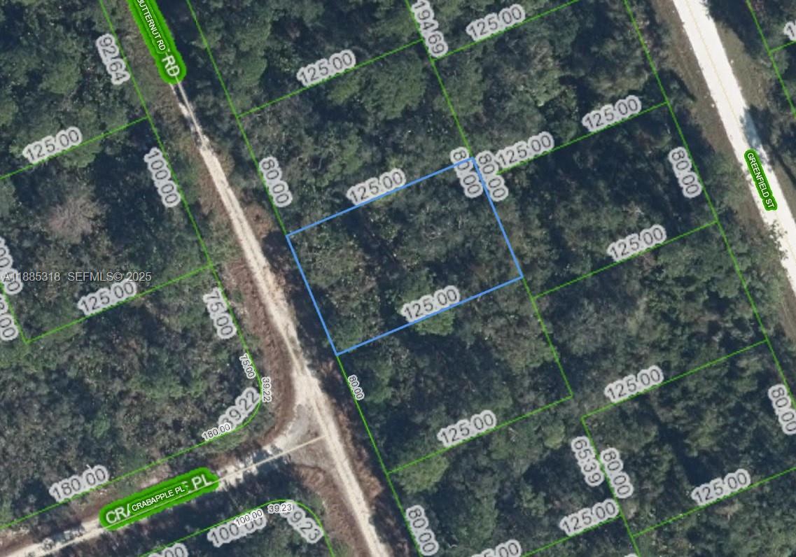 1131 Butternut Road, Lake Placid, FL 33852, Lake Placid
