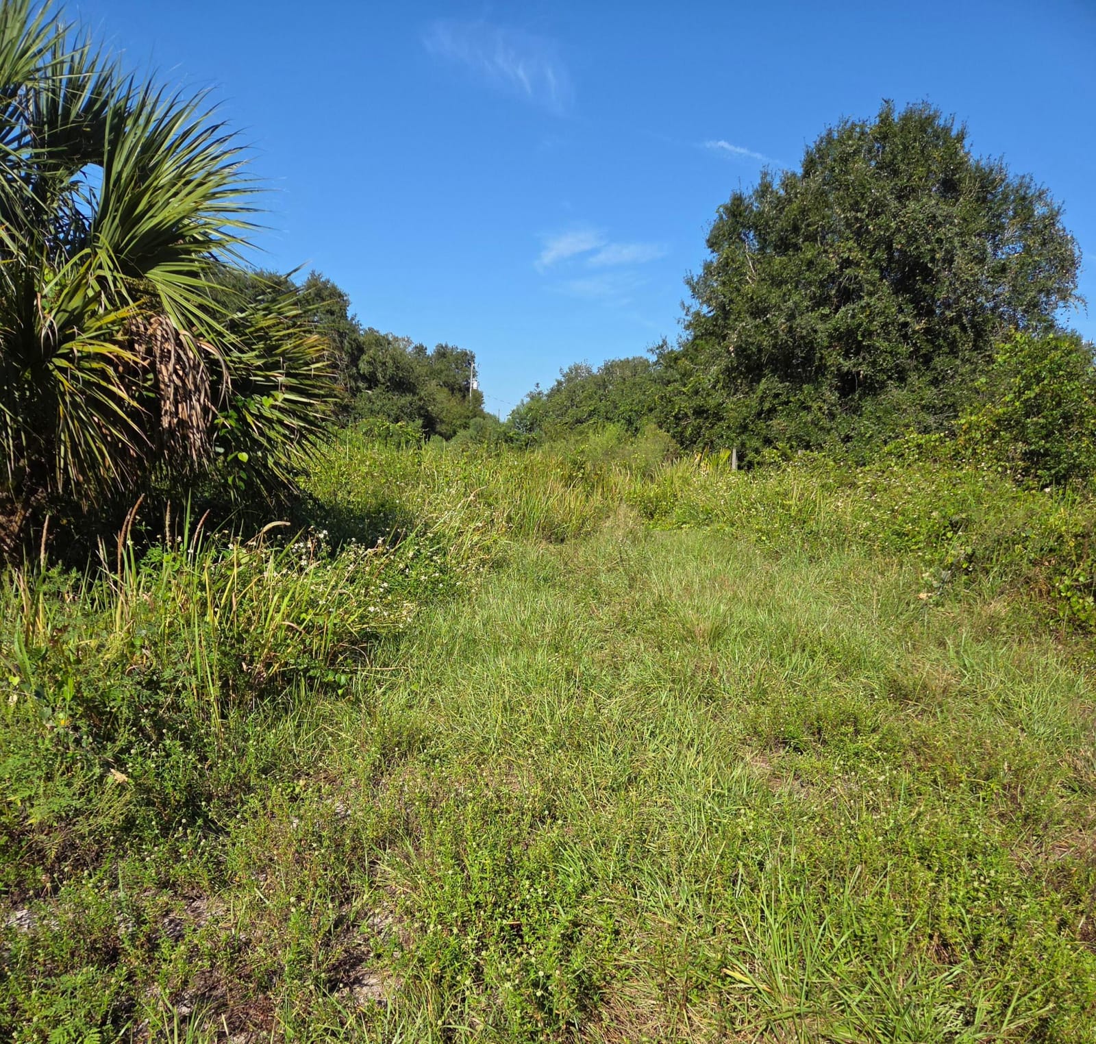 18336 NW 308th Street, Okeechobee, FL 34972 photo 2
