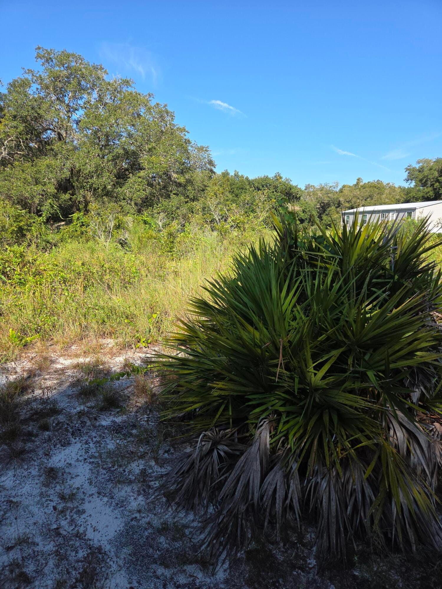 18336 NW 308th Street, Okeechobee, FL 34972 photo 11