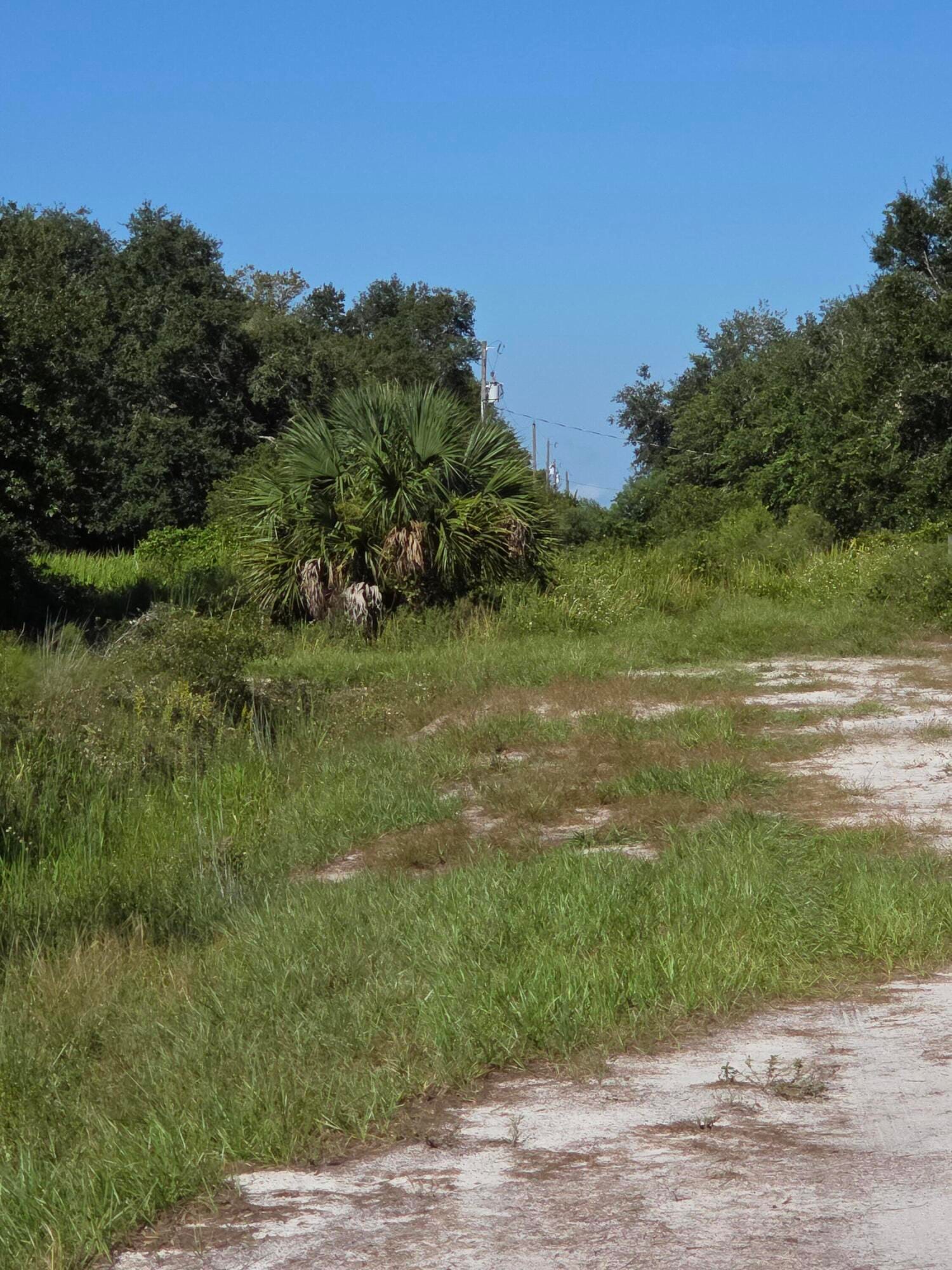 18336 NW 308th Street, Okeechobee, FL 34972 photo 12