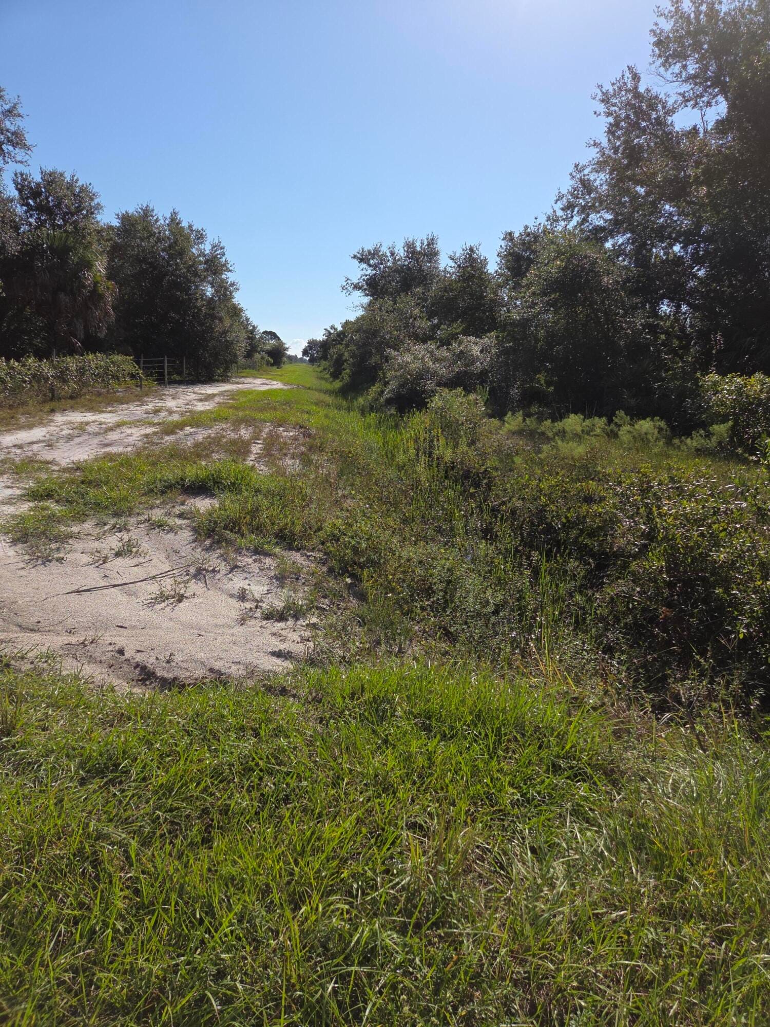 18336 NW 308th Street, Okeechobee, FL 34972 photo 3