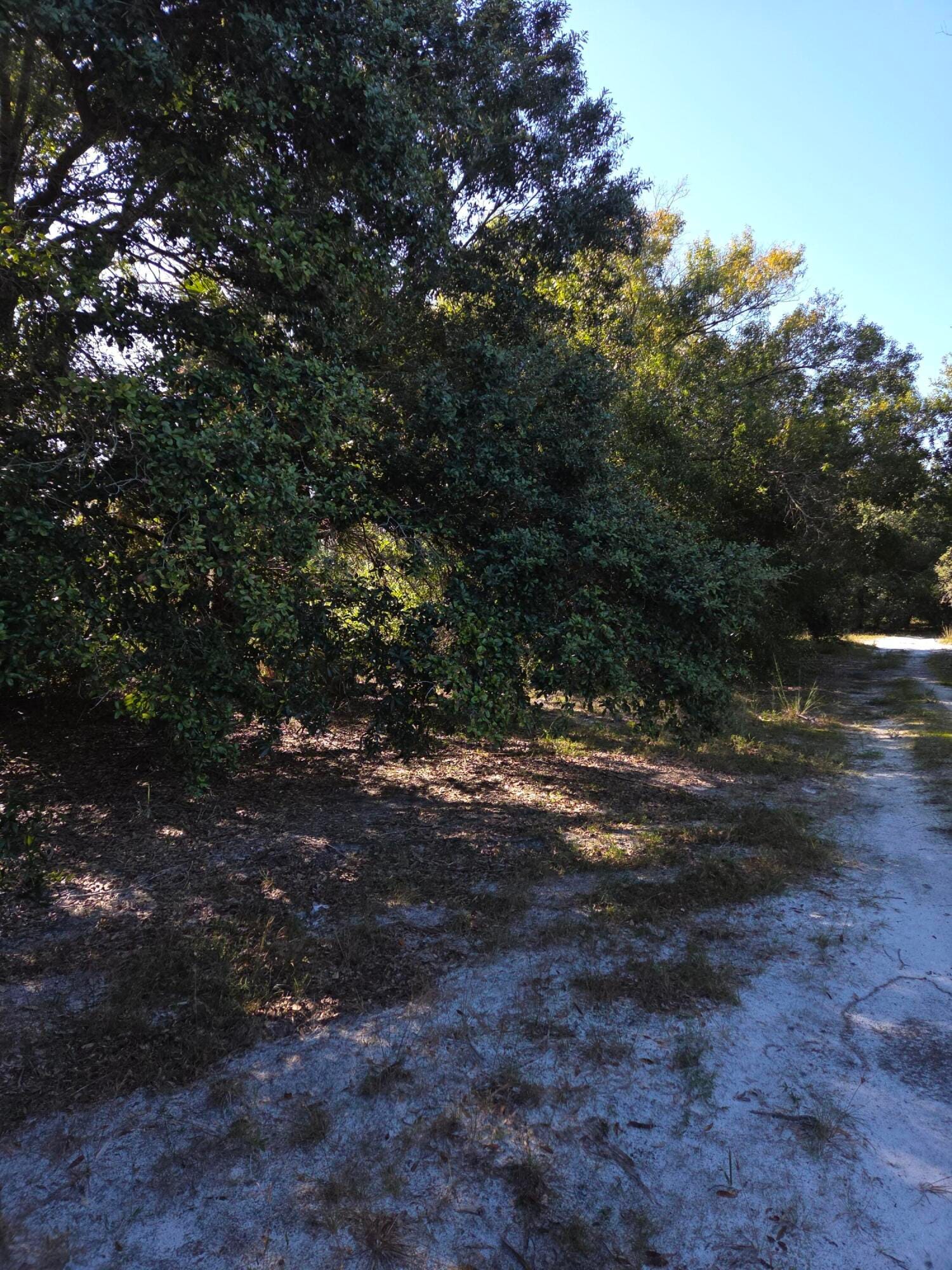 18336 NW 308th Street, Okeechobee, FL 34972 photo 4