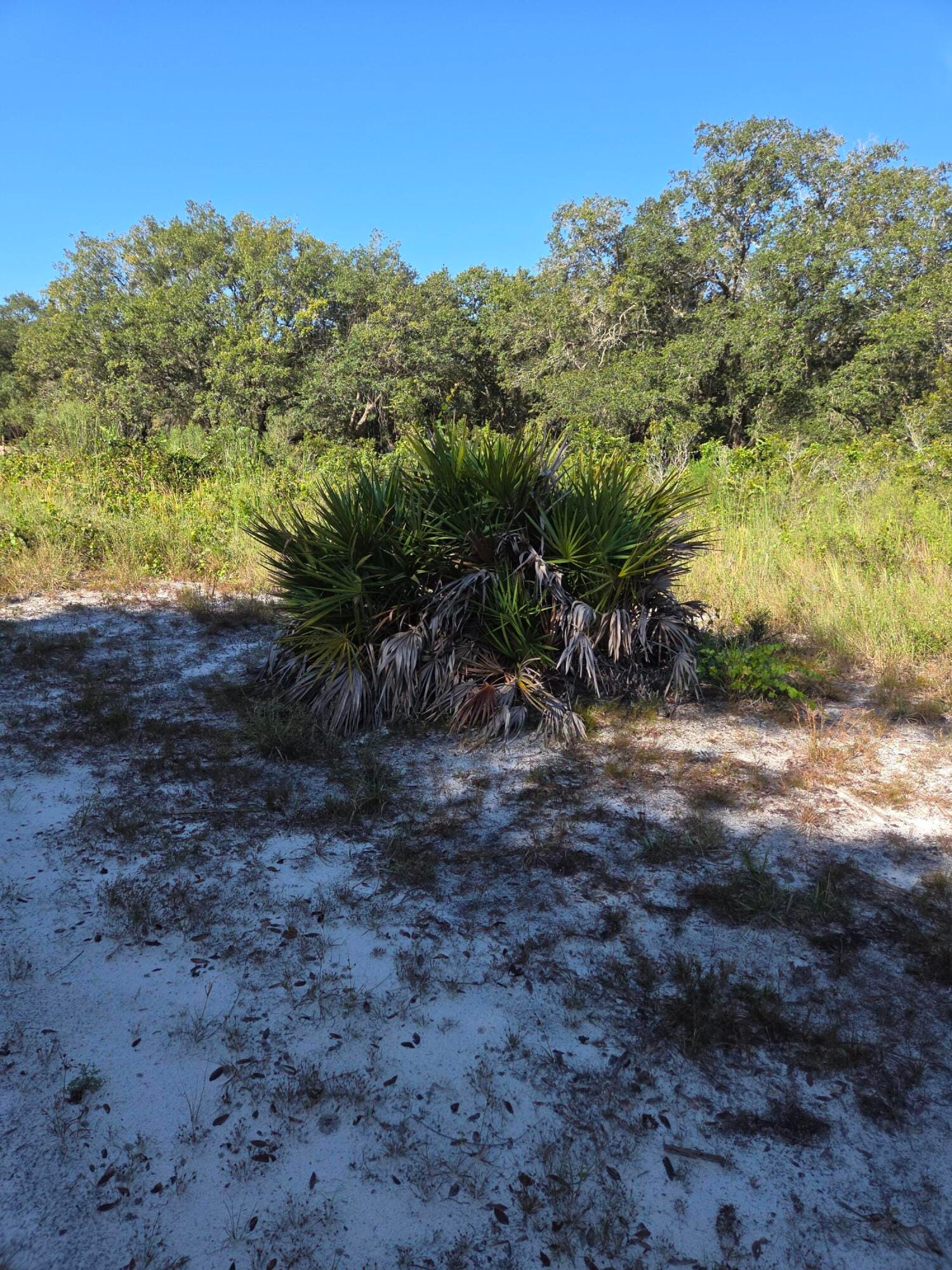 18336 NW 308th Street, Okeechobee, FL 34972 photo 7