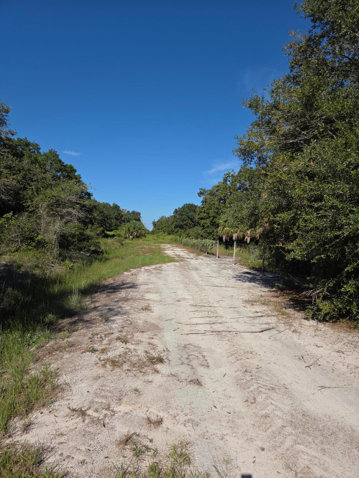 18336 NW 308th Street, Okeechobee, FL 34972 photo 10