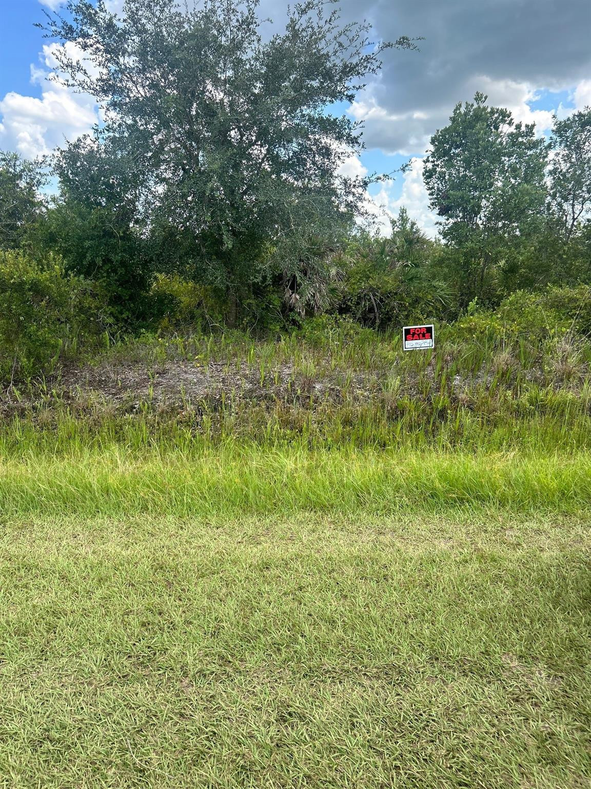 16114 NW 262nd Street, Okeechobee, FL 34972, Okeechobee